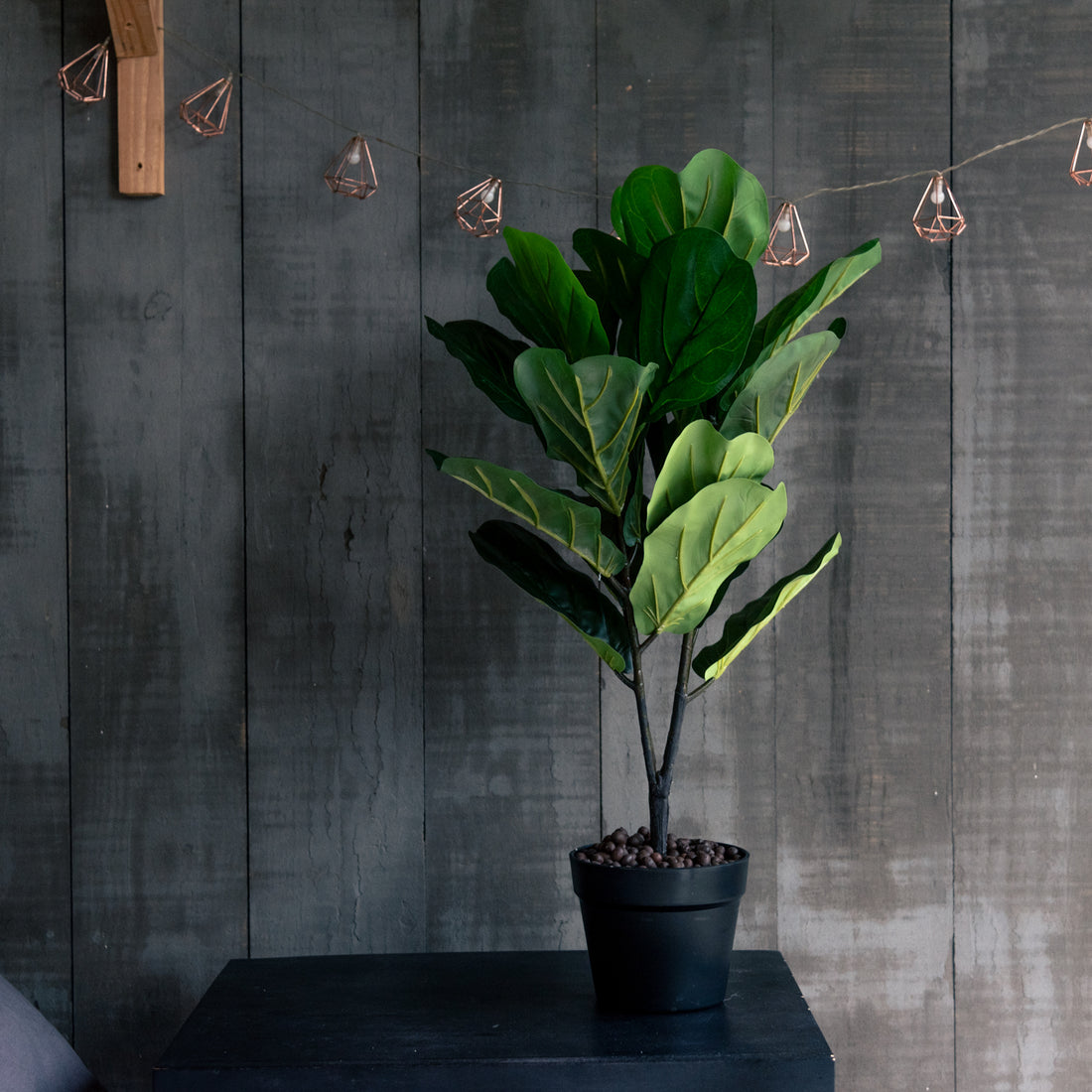 Ficus Lyrata artificial de 75 cm