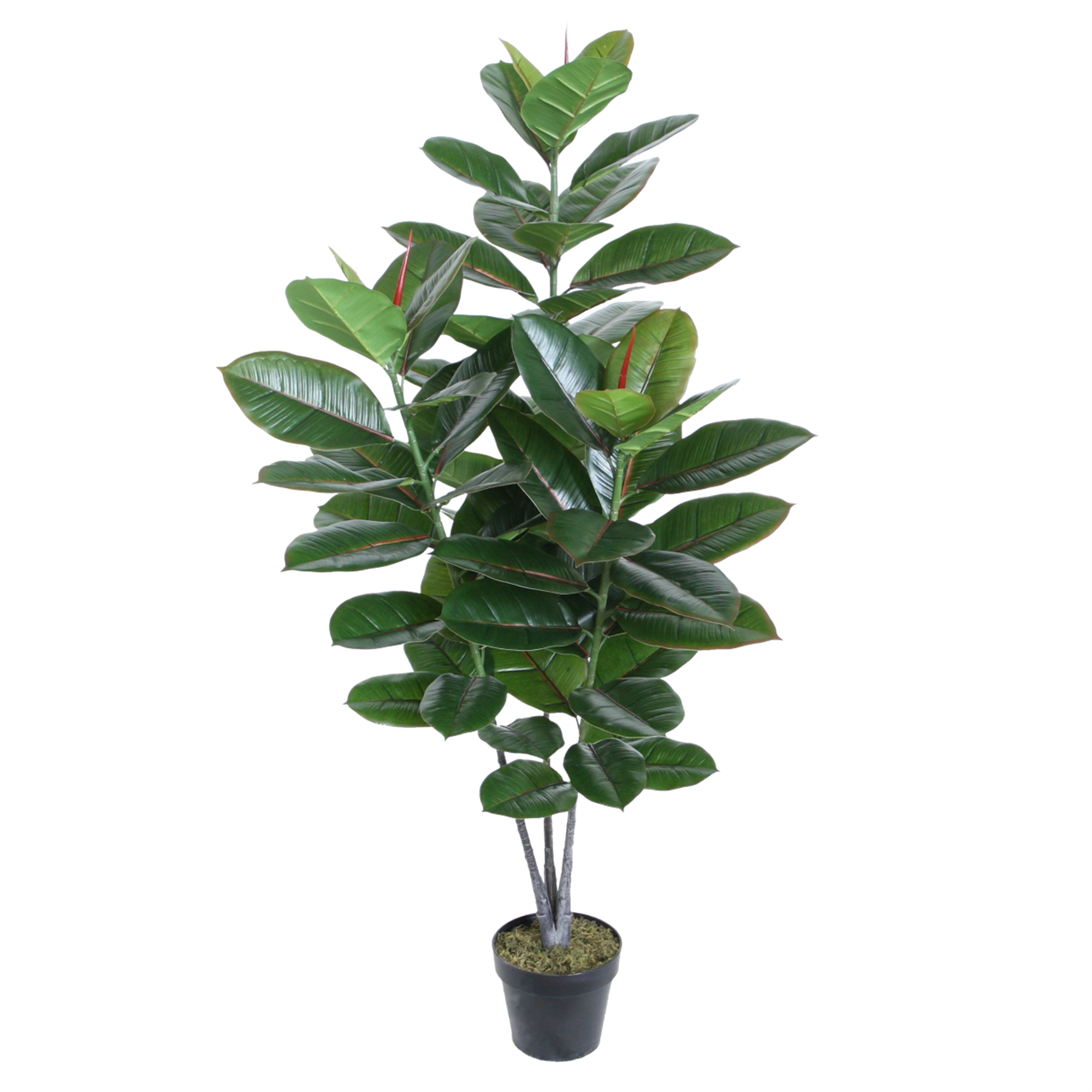 Ficus Elástica / Gomero artificial de 130 cm