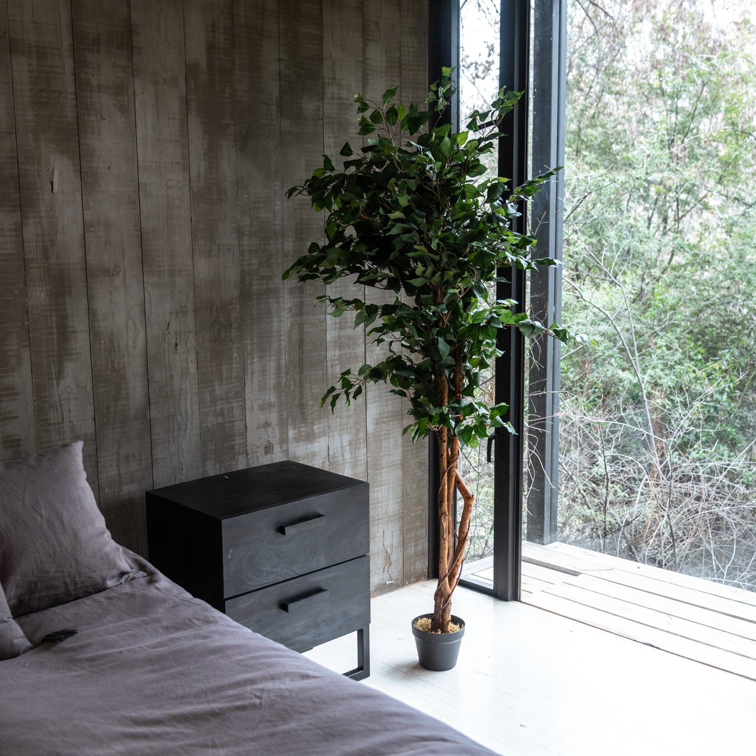 FICUS BENJAMINA DE 180 CM CON DOBLE TRONCO DE MADERA CON PROTECCION UV