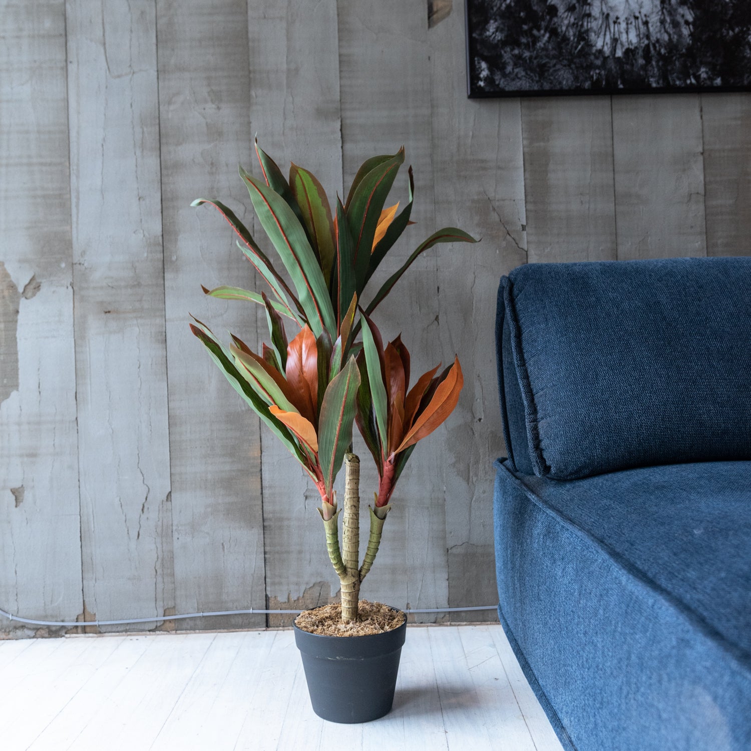 Dracena Artificial Hoja Multicolor de 75 cm