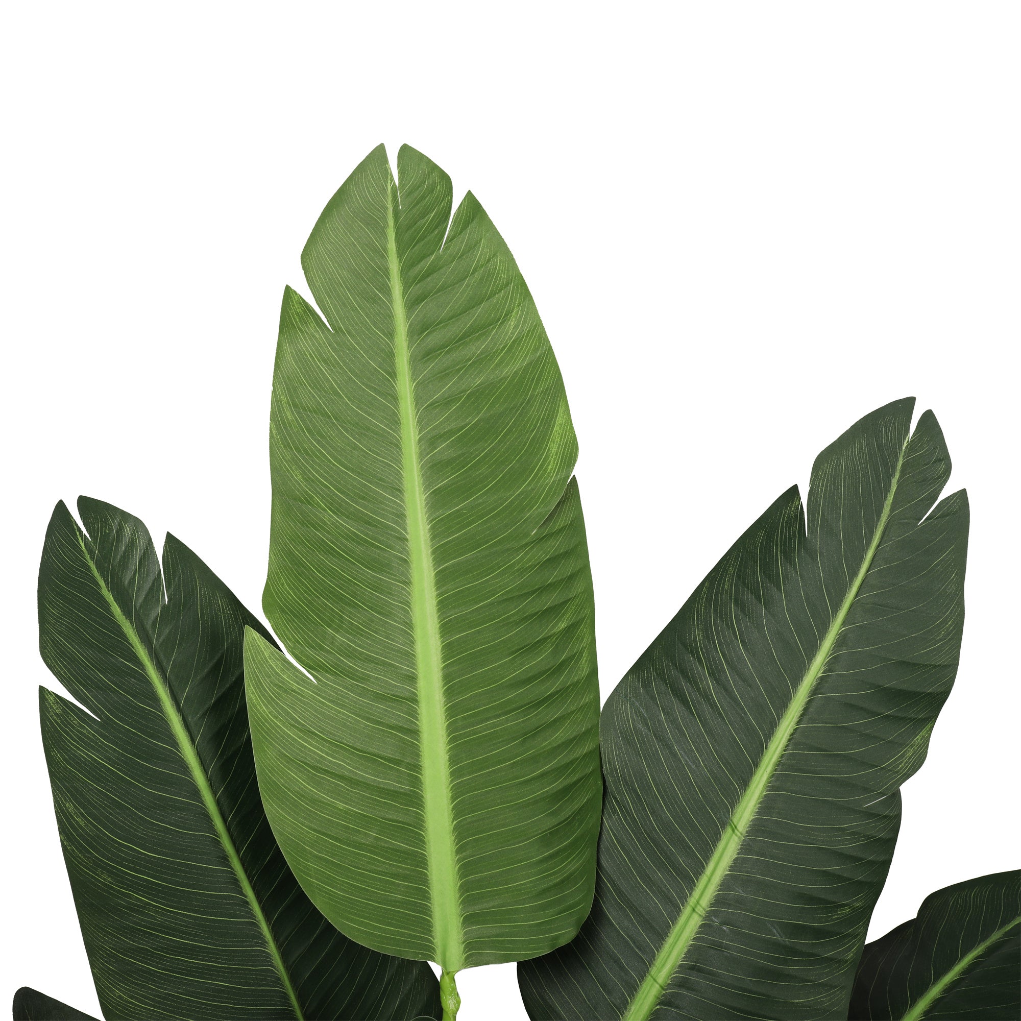 Bird Of Paradise Artificial De 160 cm.