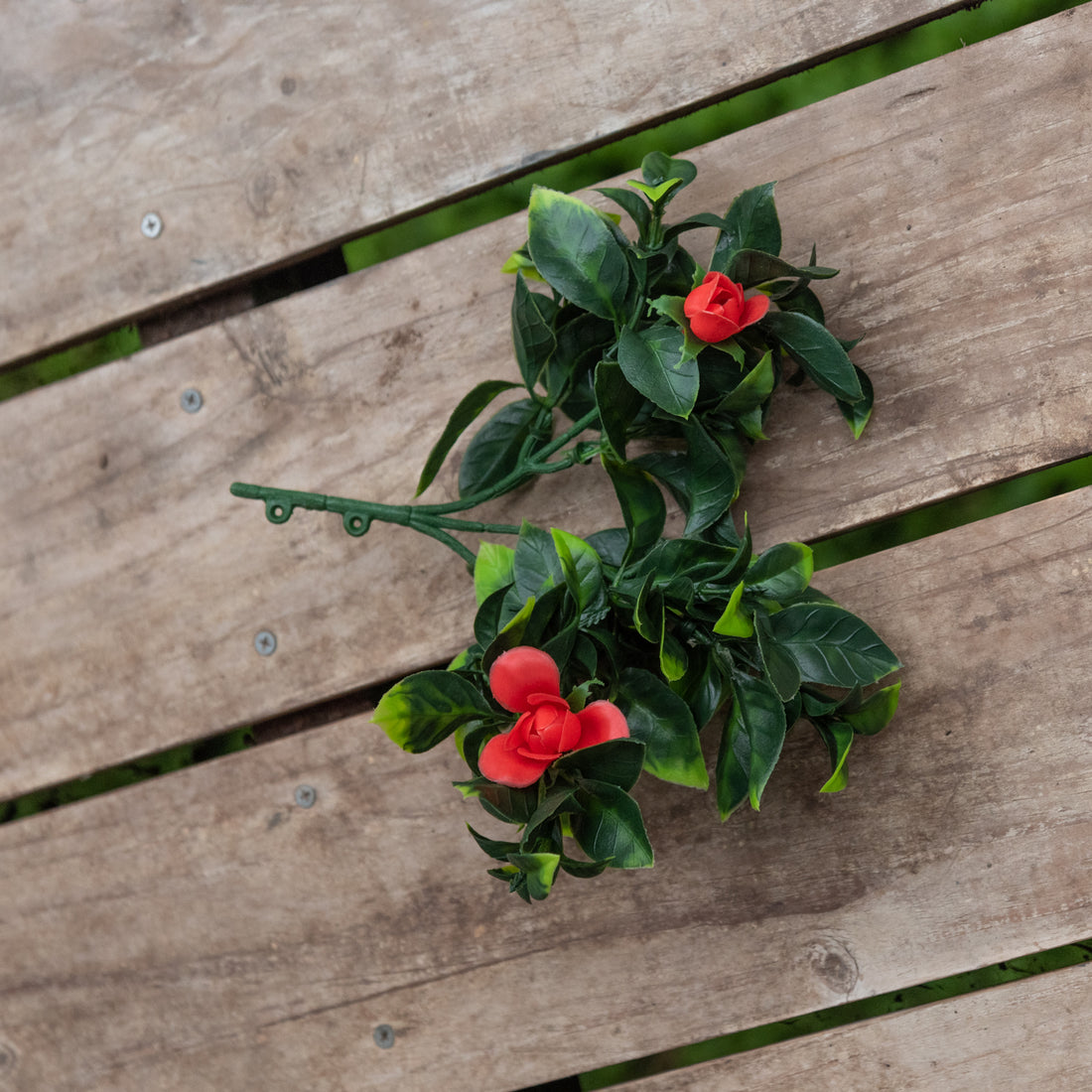 Gardenia roja, rama decorativa artificial de 30 cm con protección UV