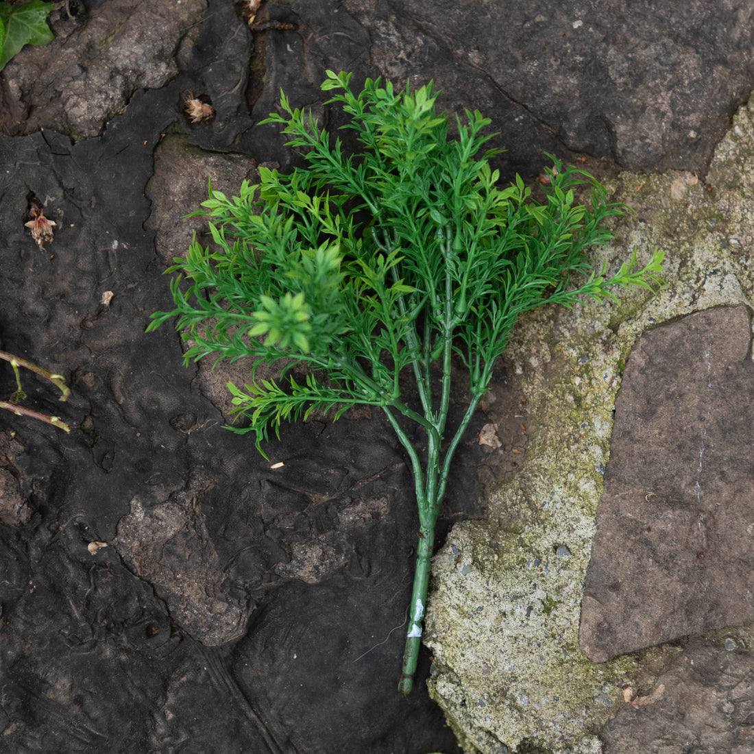 Árbol del té , rama artificial decorativa, hojas verdes de 30 cm con protección UV