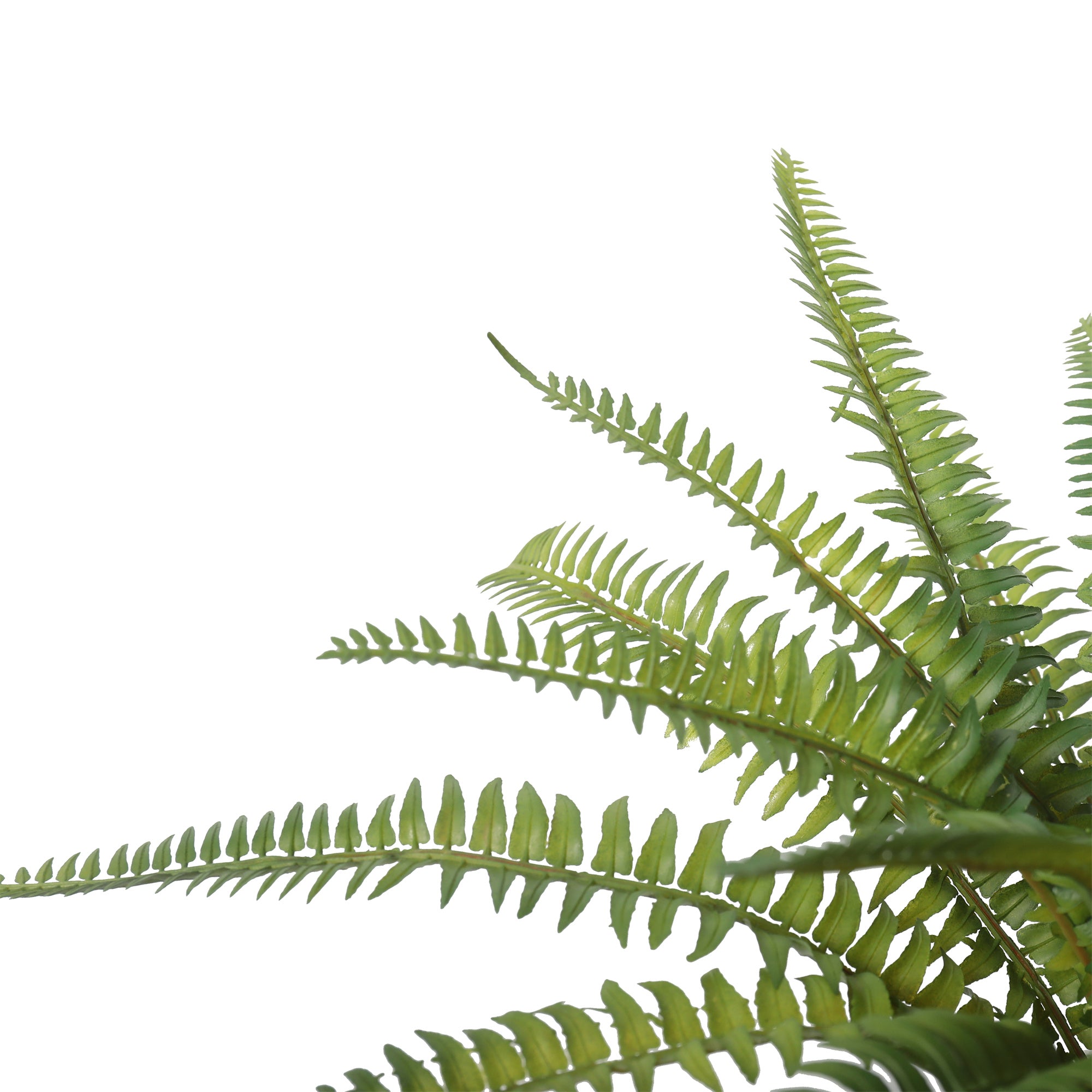 Helecho silvestre artificial de 34 cm, con macetero