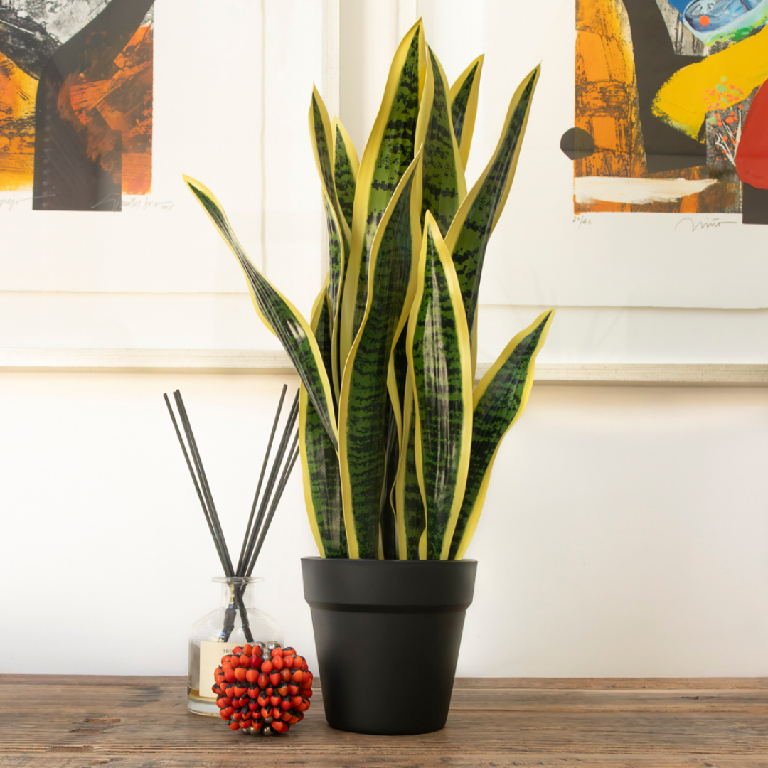 Lengua De Suegra Artificial Amarilla De 53.5 cm