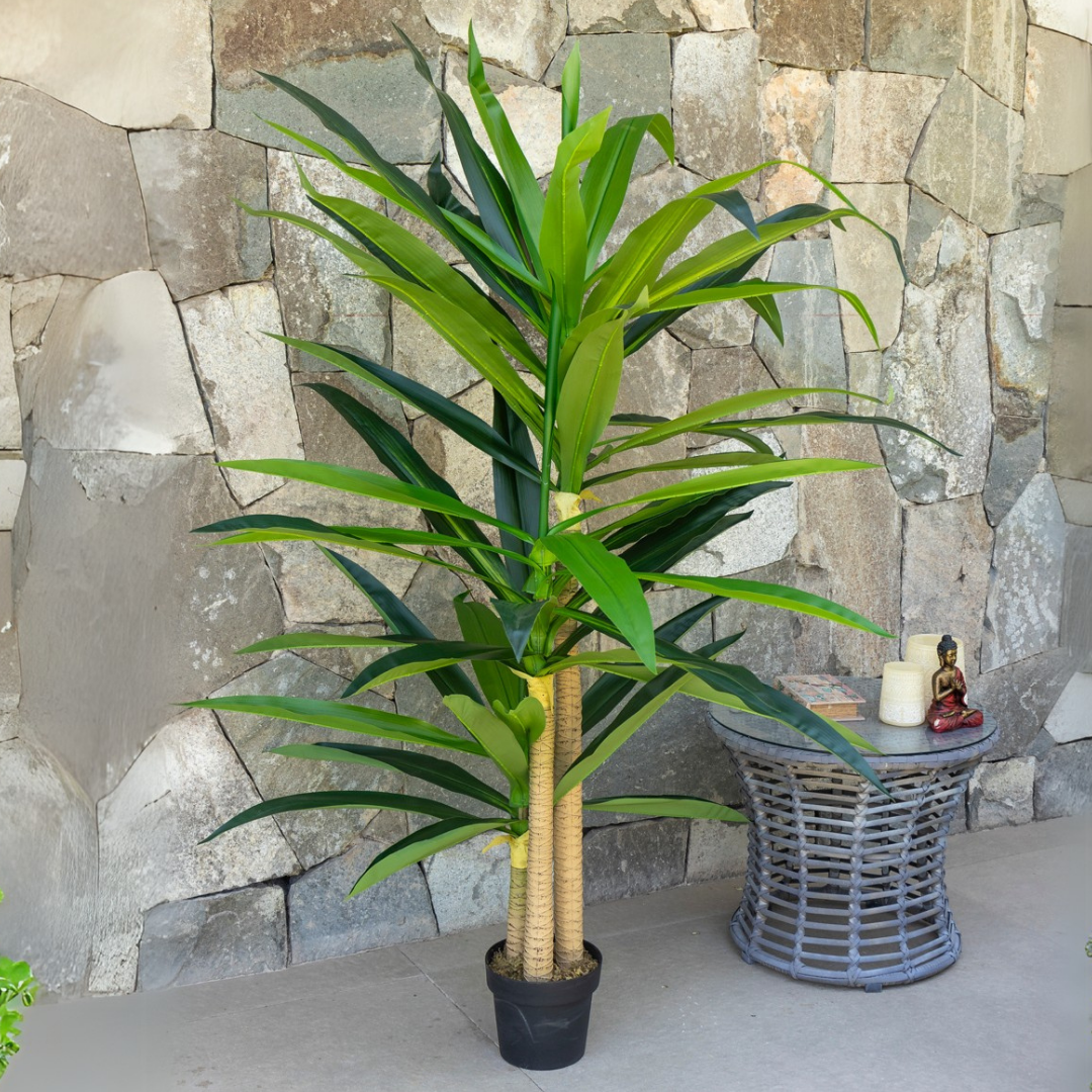 Dracena Artificial de 180 cm