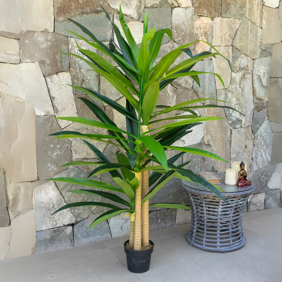 Dracena Artificial de 180 cm