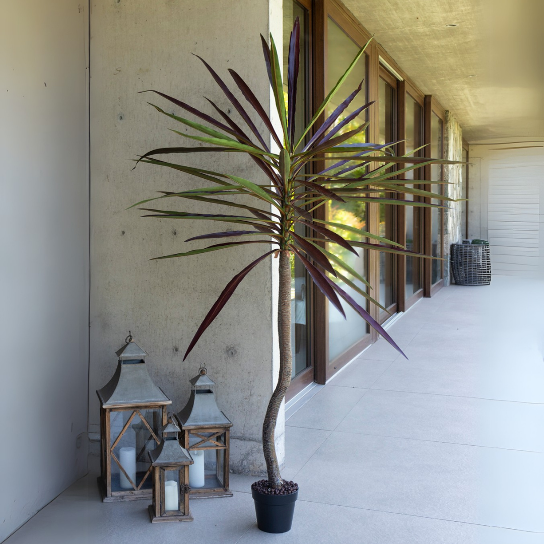 Cordyline Artificial de 210 cm