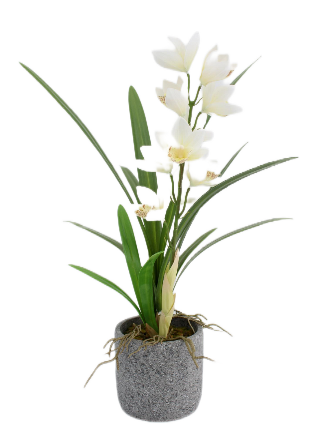 Planta de Orquídeas salvajes blancas artificial es de 56 cm en macetero