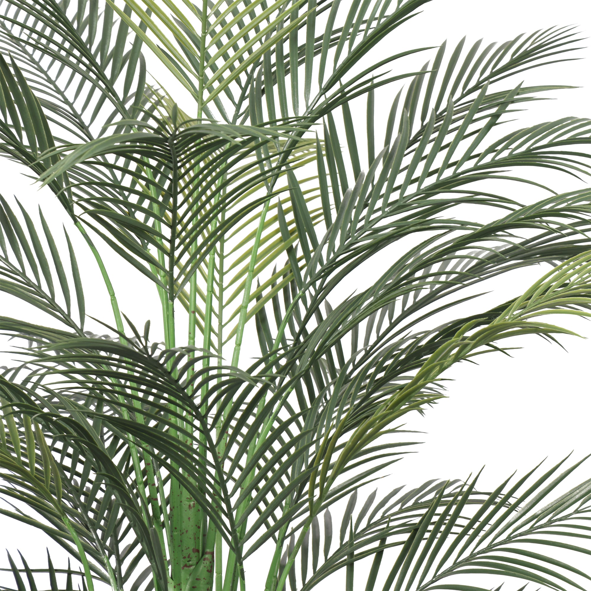 Palmera Areca Premium 180 cm con protección UV