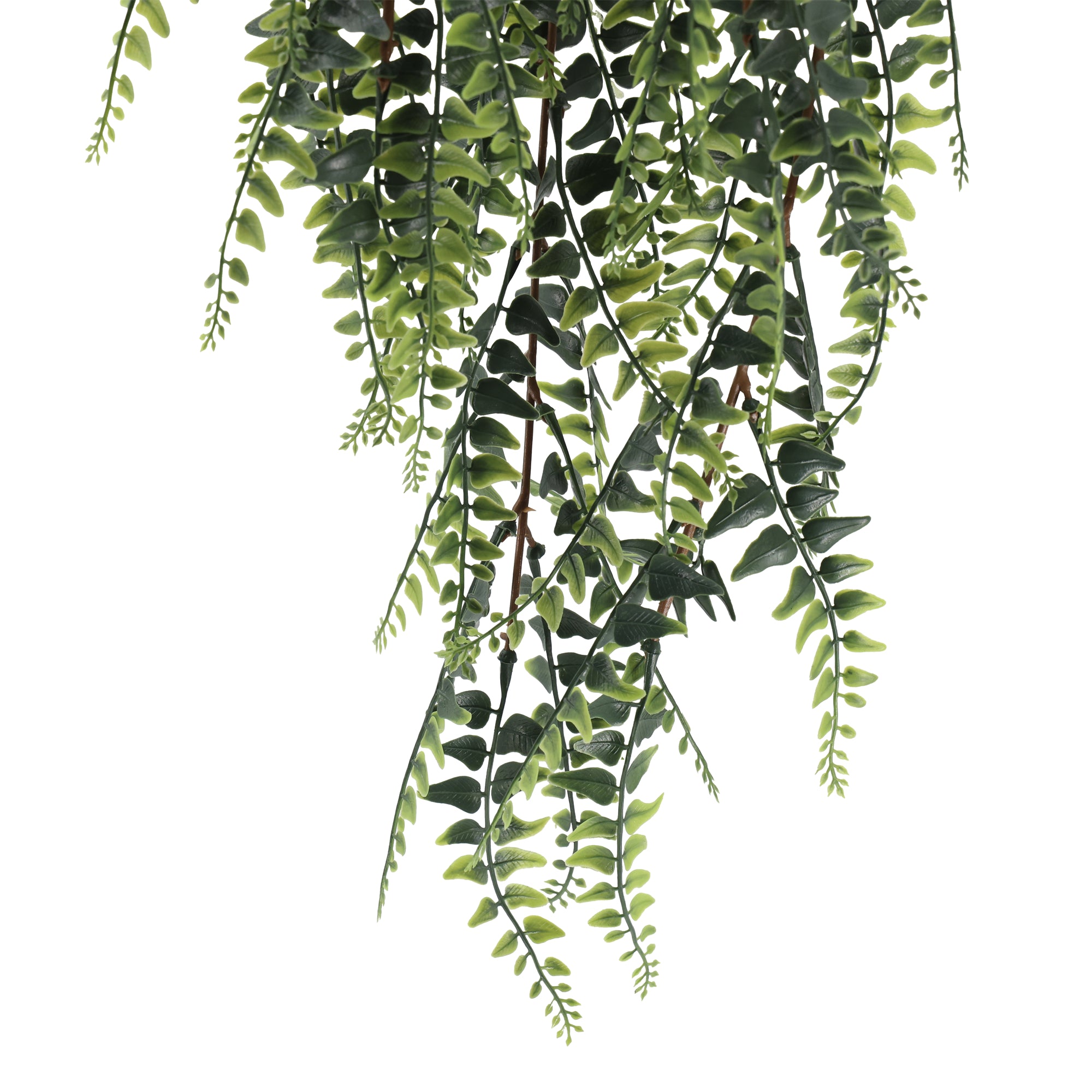Enredadera colgante helecho Boston 90 cm con protección UV