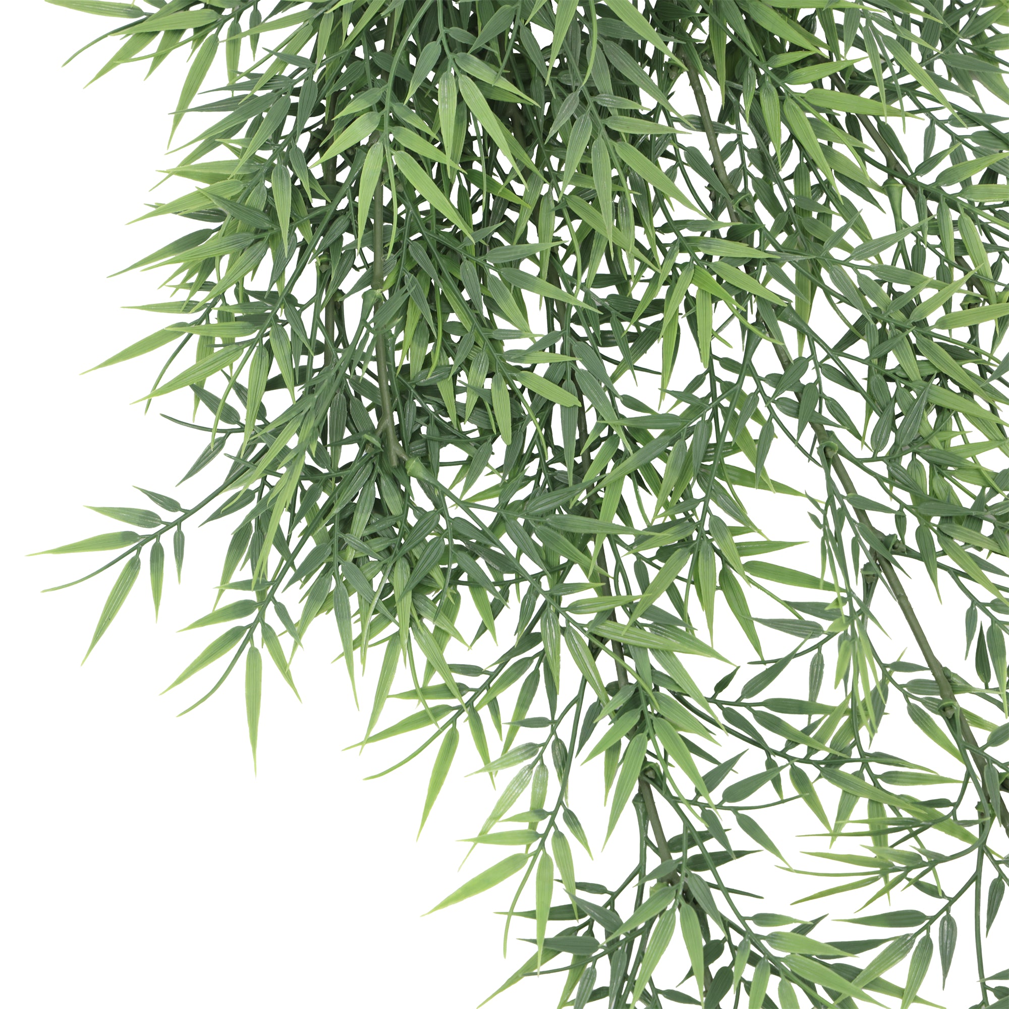 Enredadera colgante Bamboo 75 cm con protección UV