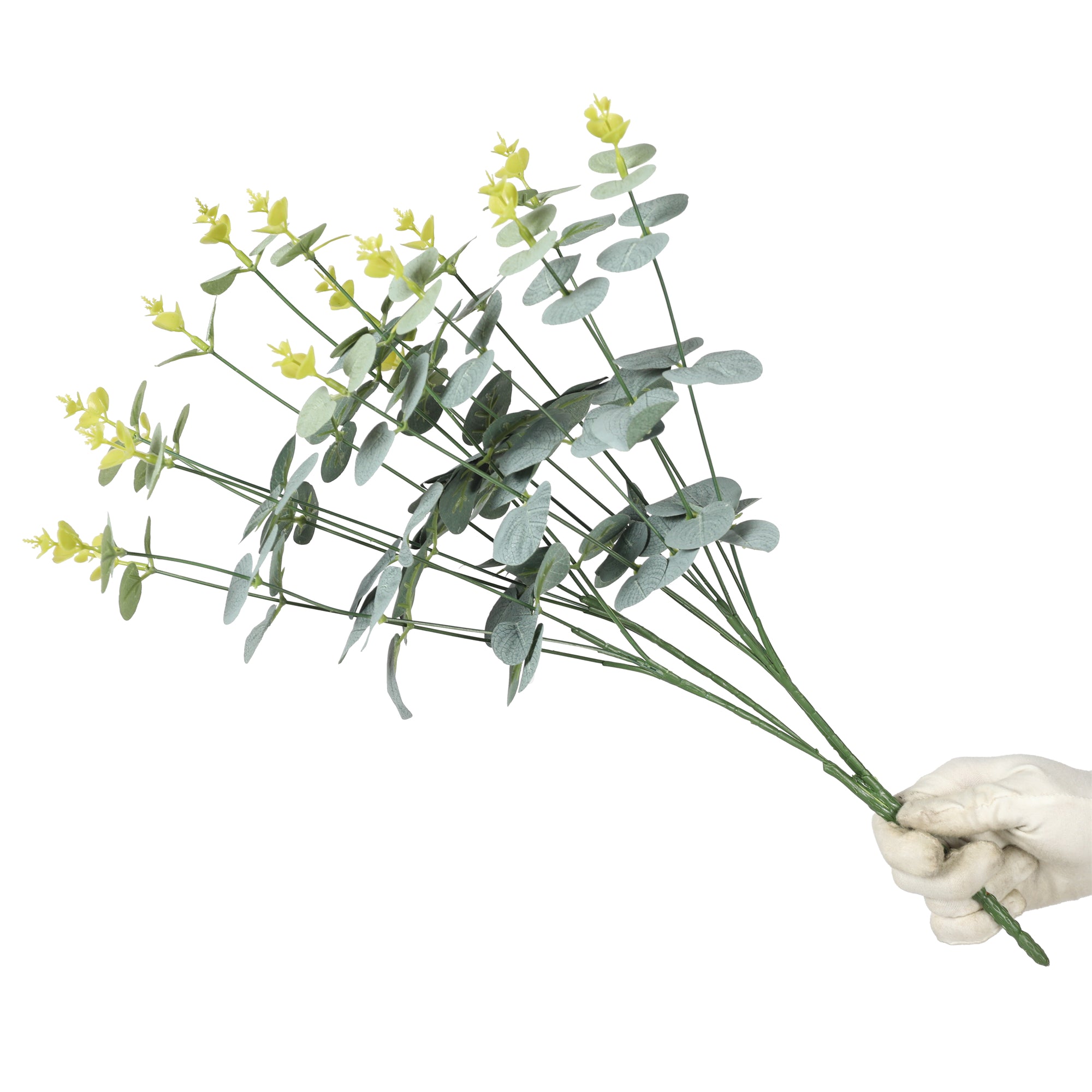 Eucalipto de 50 cm