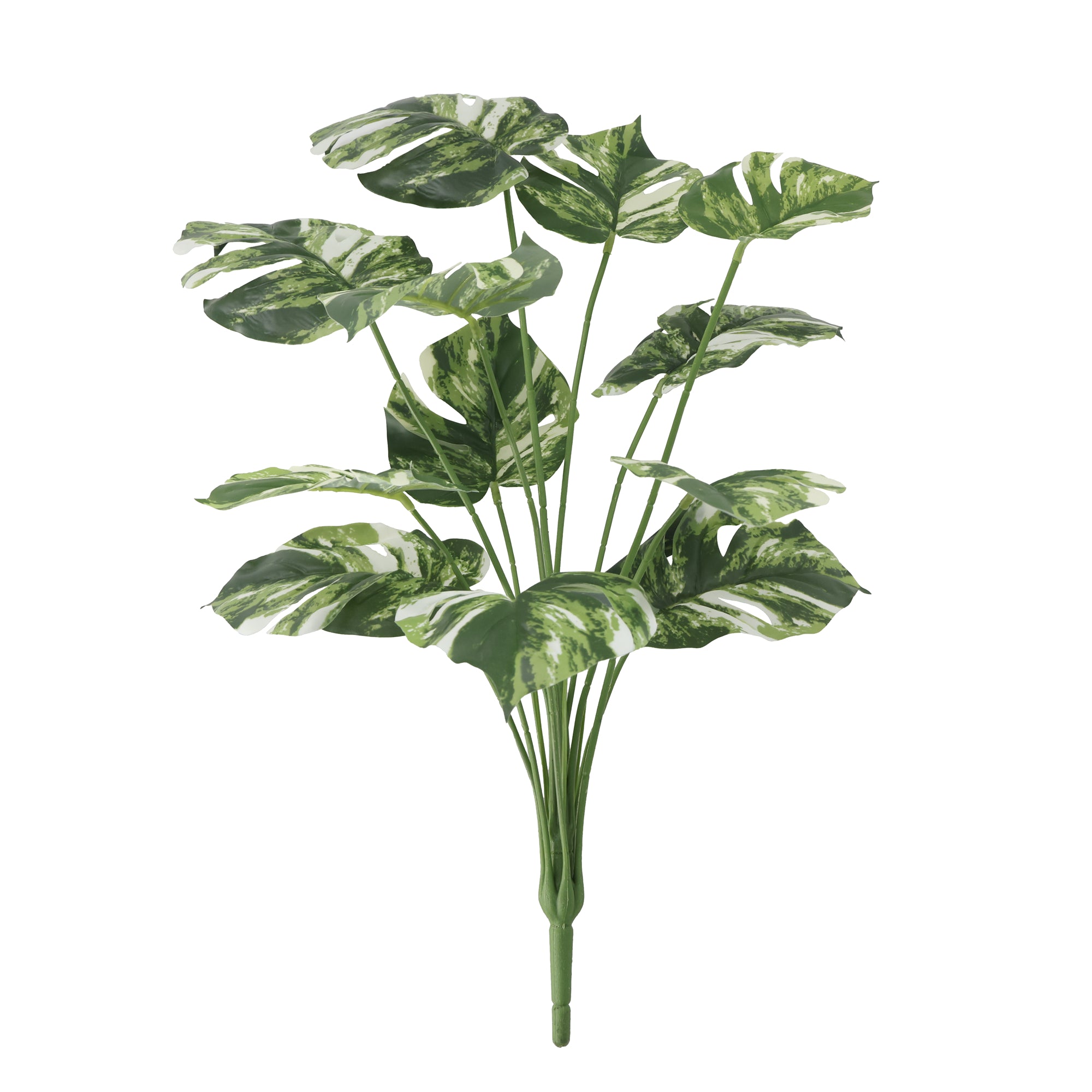 Rama Monstera 59 cm Verde/Amarilla