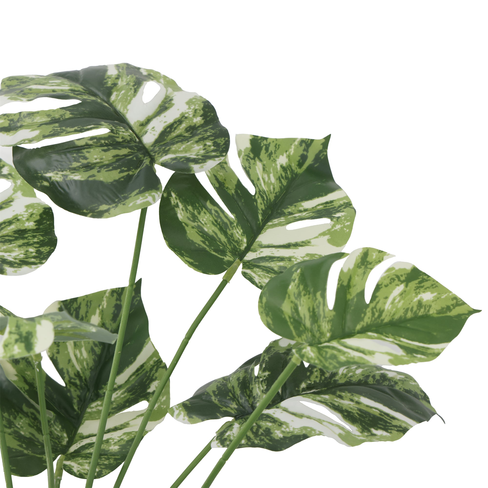 Rama Monstera 59 cm Verde/Amarilla