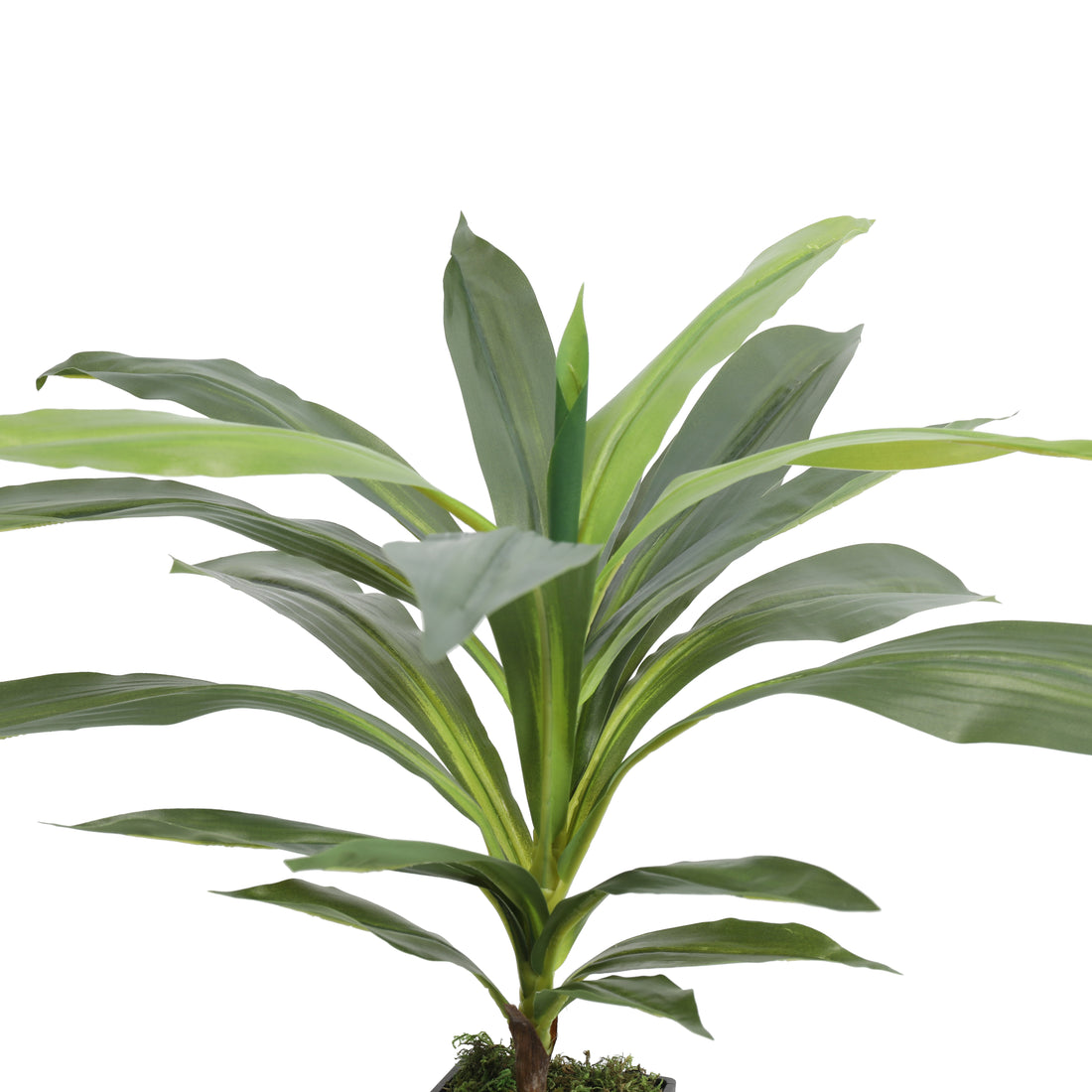 Dracena Artificial de 55 cm, 22 hojas
