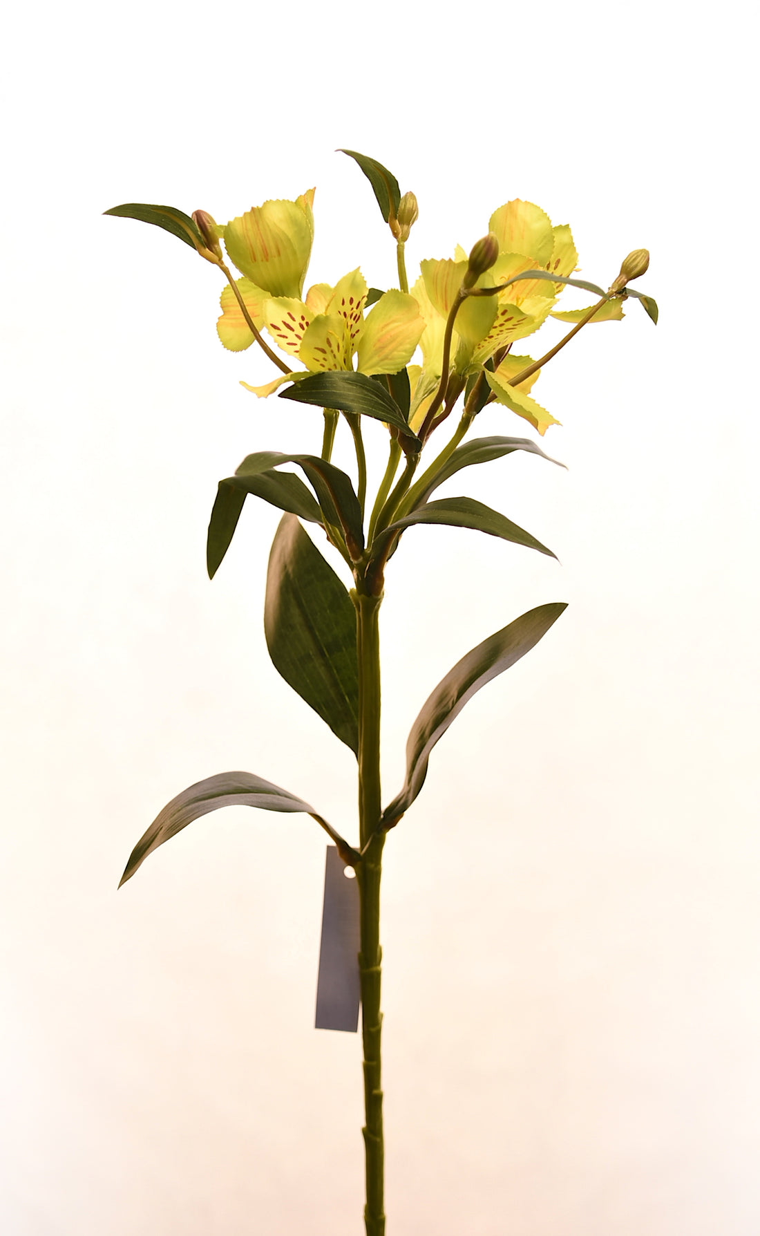 Flores de Astromelia artificial color verde de 61 cm