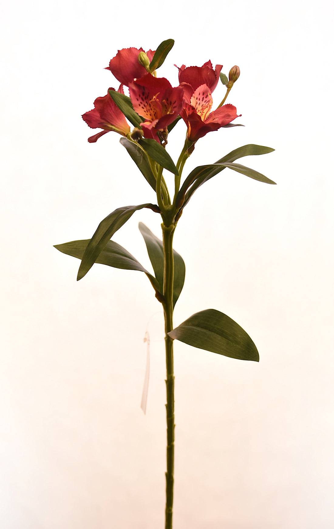 Flores de Astromelia artificial color rosado de 61 cm