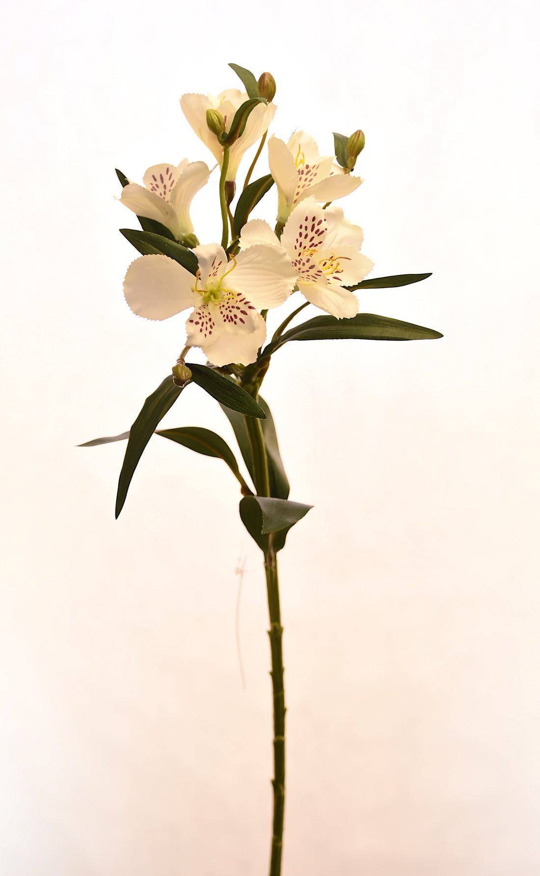 Flores de Astromelia artificial color blanco de 61 cm