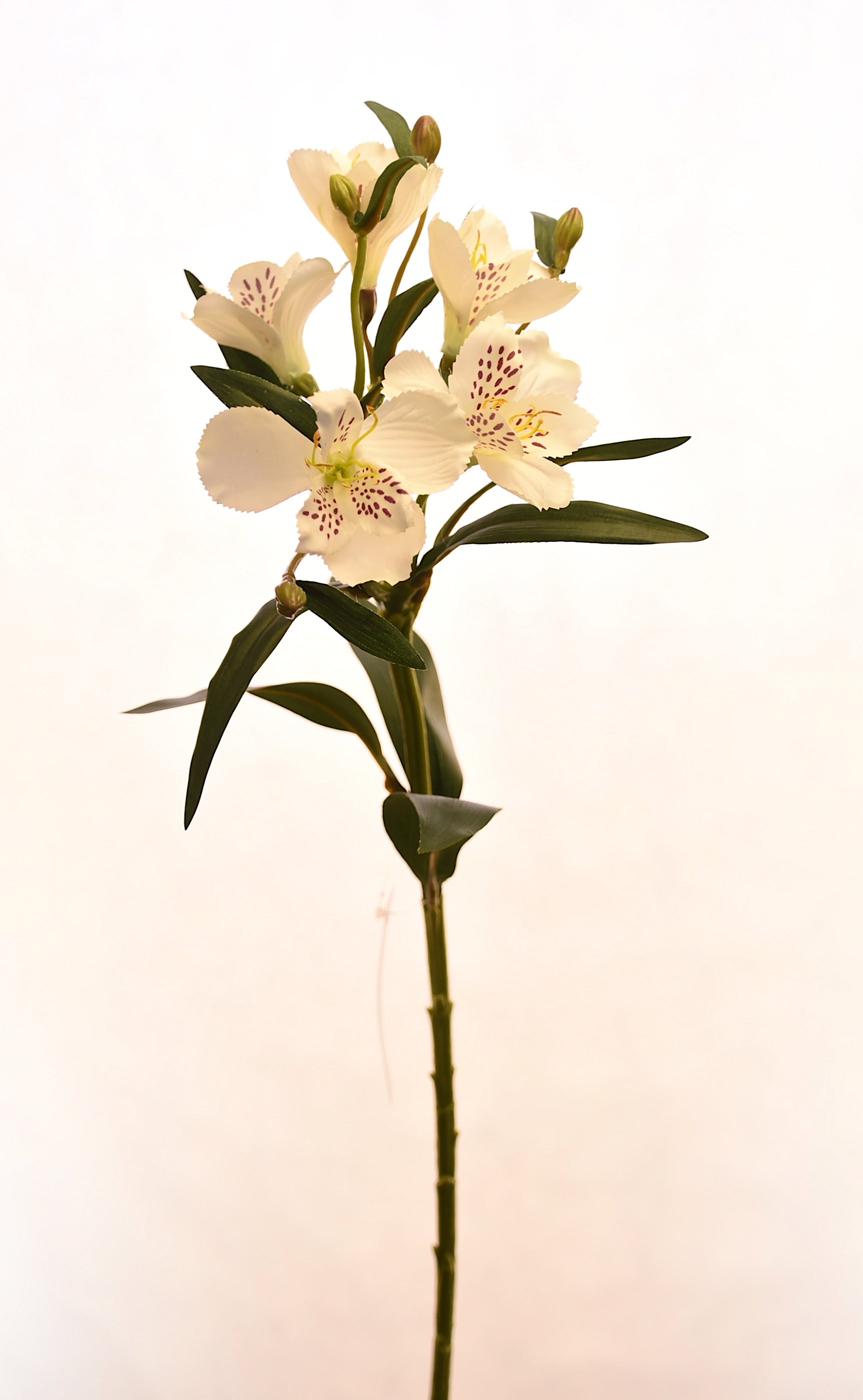 Flores de Astromelia artificial color blanco de 61 cm