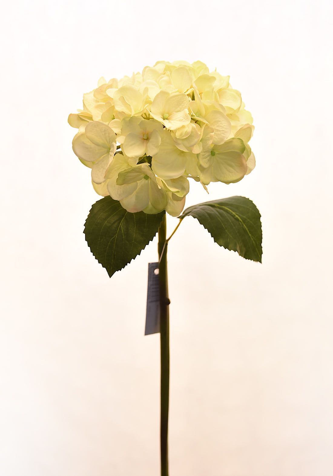 Flor de Hortensia artificial color crema de 52 cm