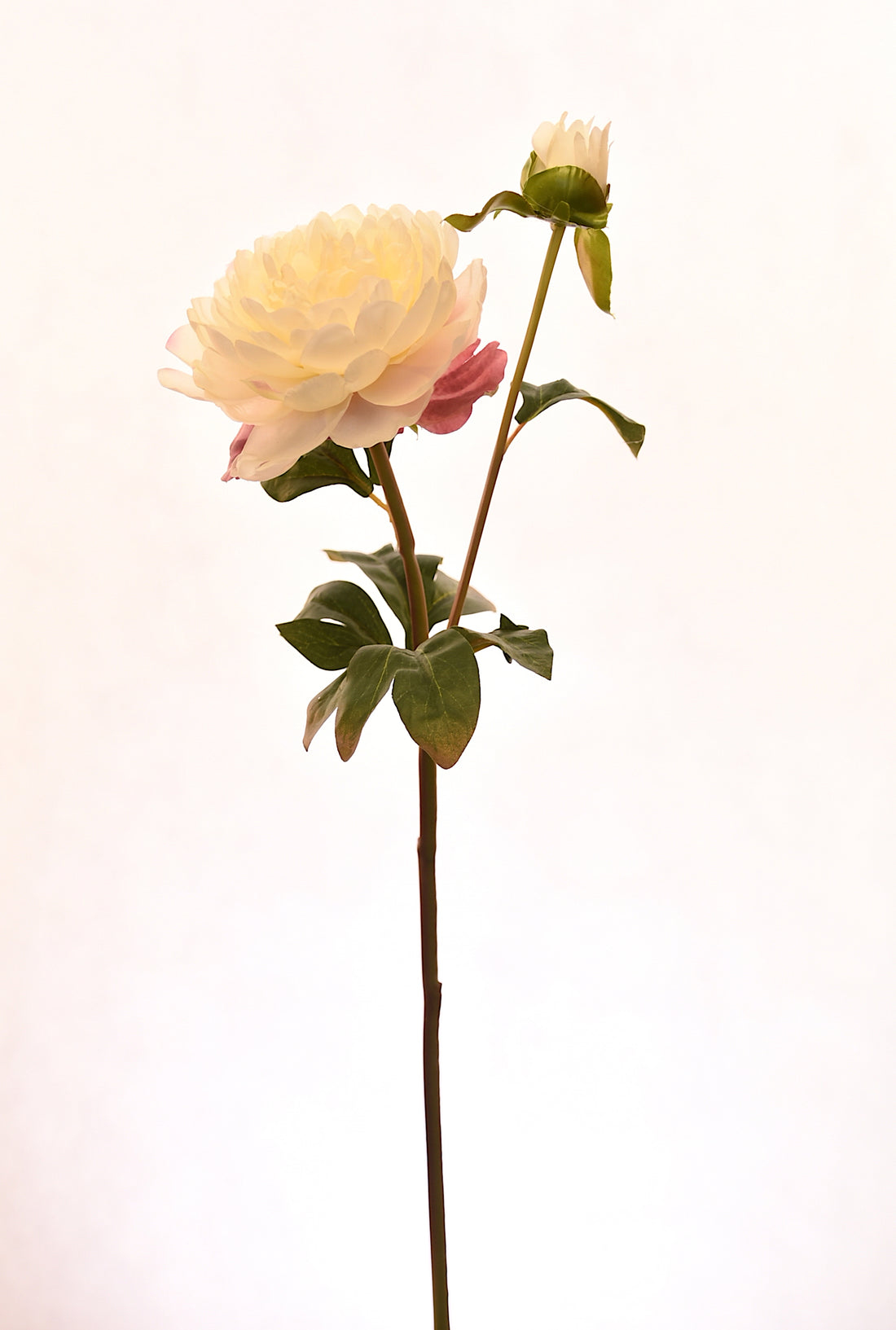 Flor de Peonía artificial color Crema de 57 cm