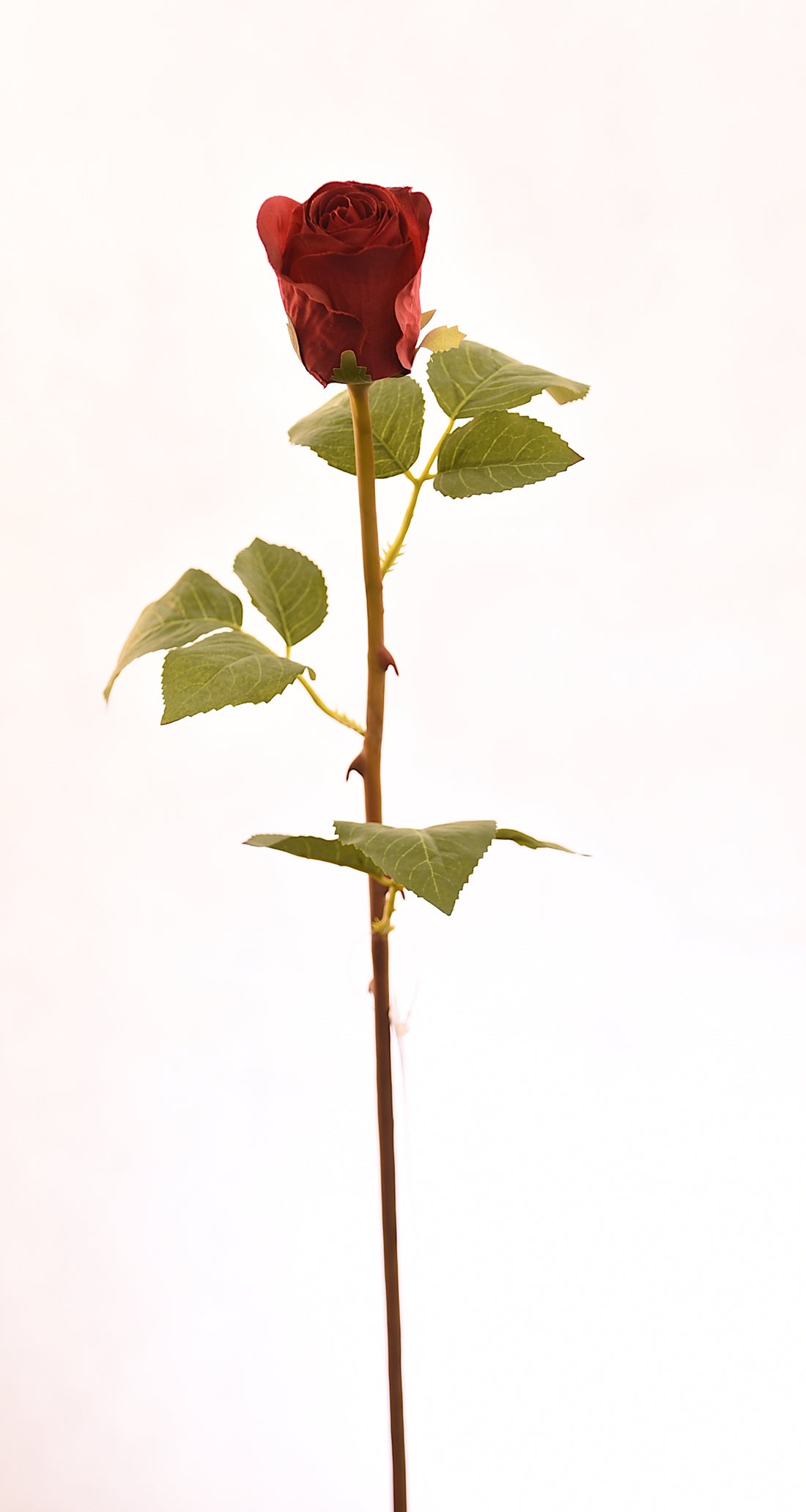 Botón de flor de rosa artificial color rojo de 51 cm