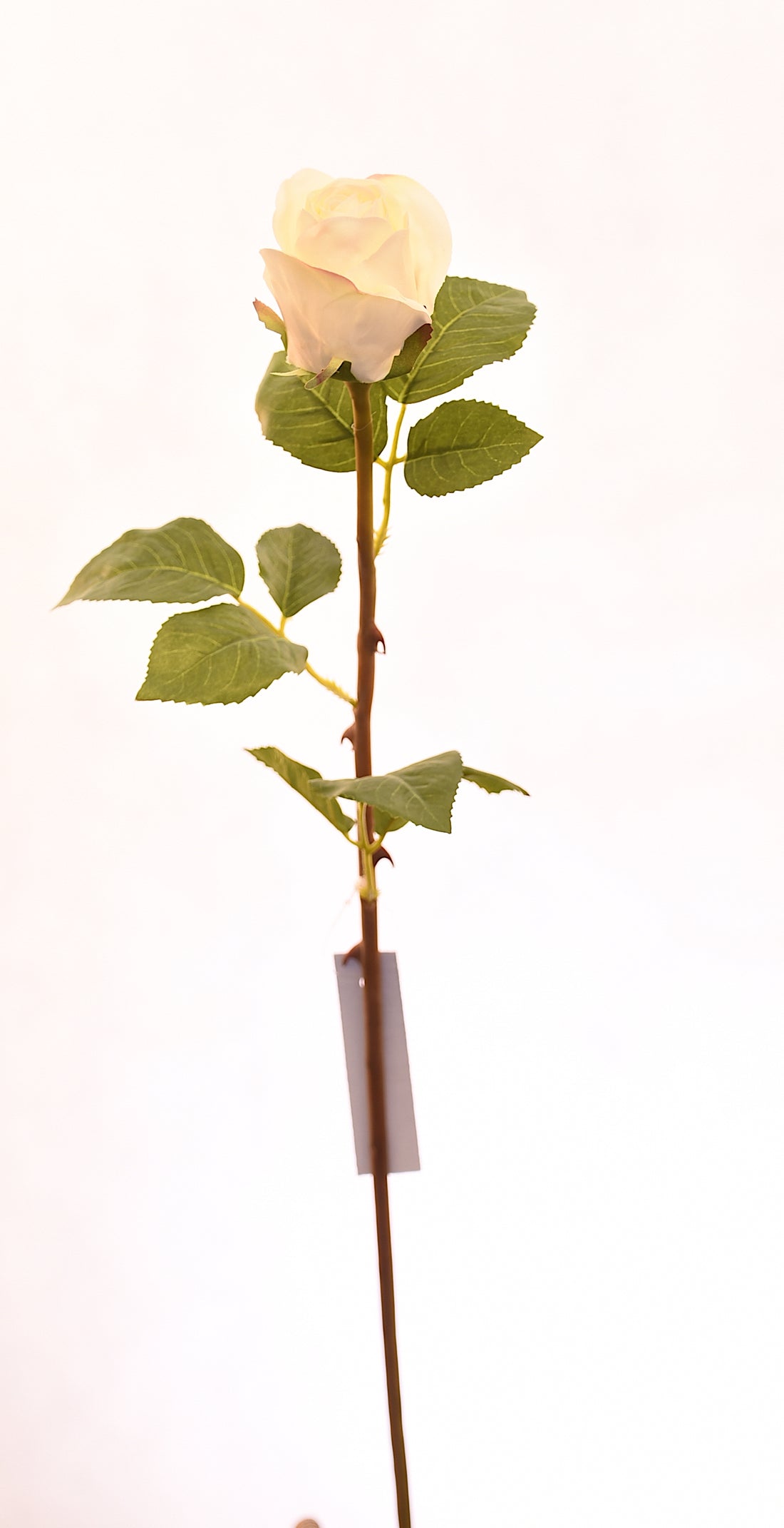 Botón de flor de rosa artificial color blanco de 51 cm