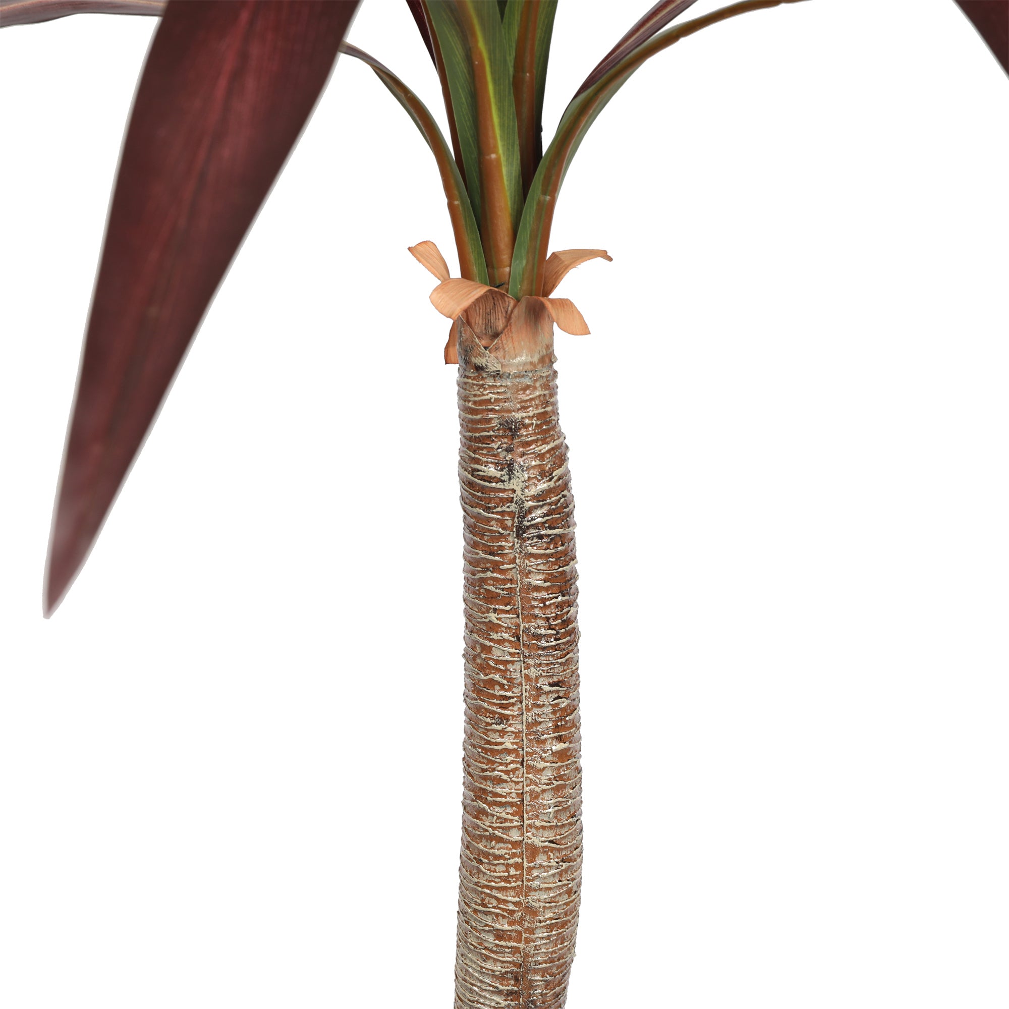 Cordyline Artificial de 210 cm