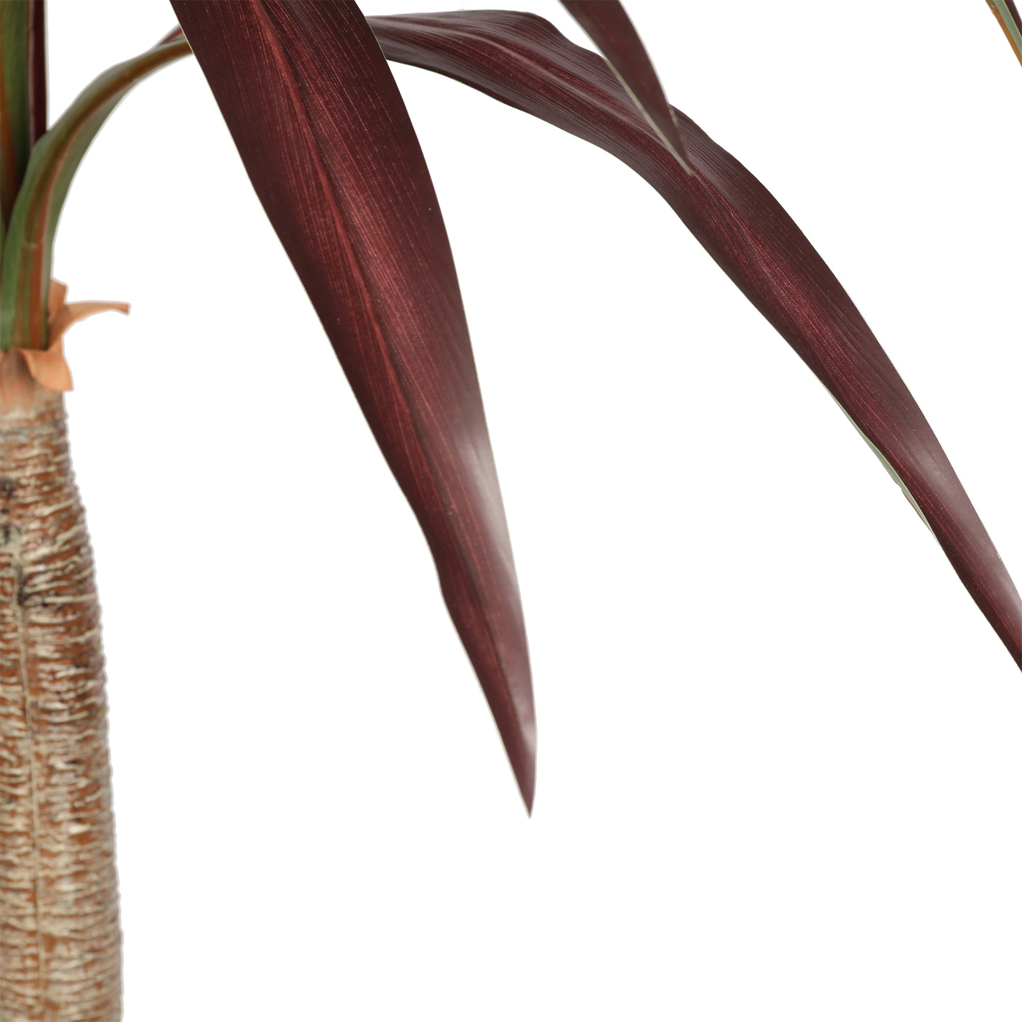Cordyline Artificial de 210 cm