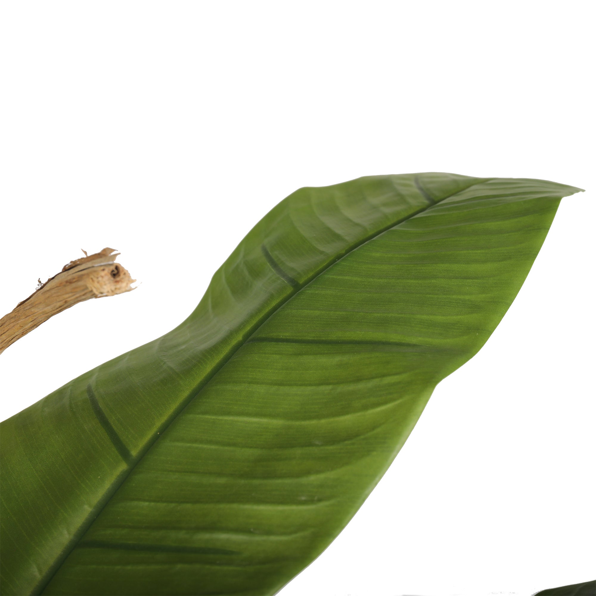 Banano Artificial De 280 Cm. 3 Tallos Y 36 Hojas.