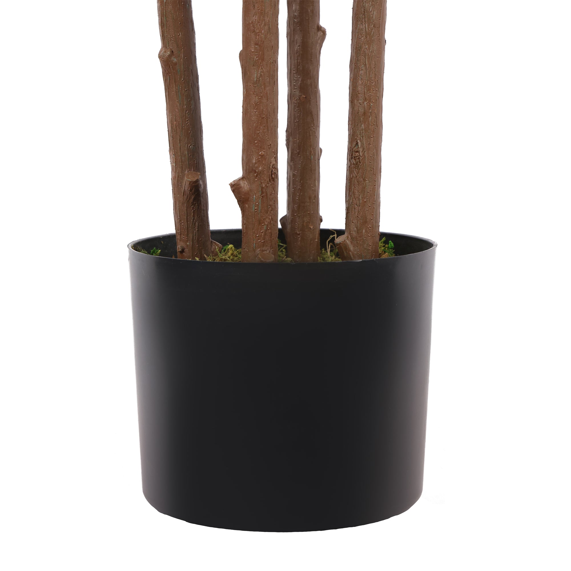 Ficus Lyrata 180 cm con protección UV