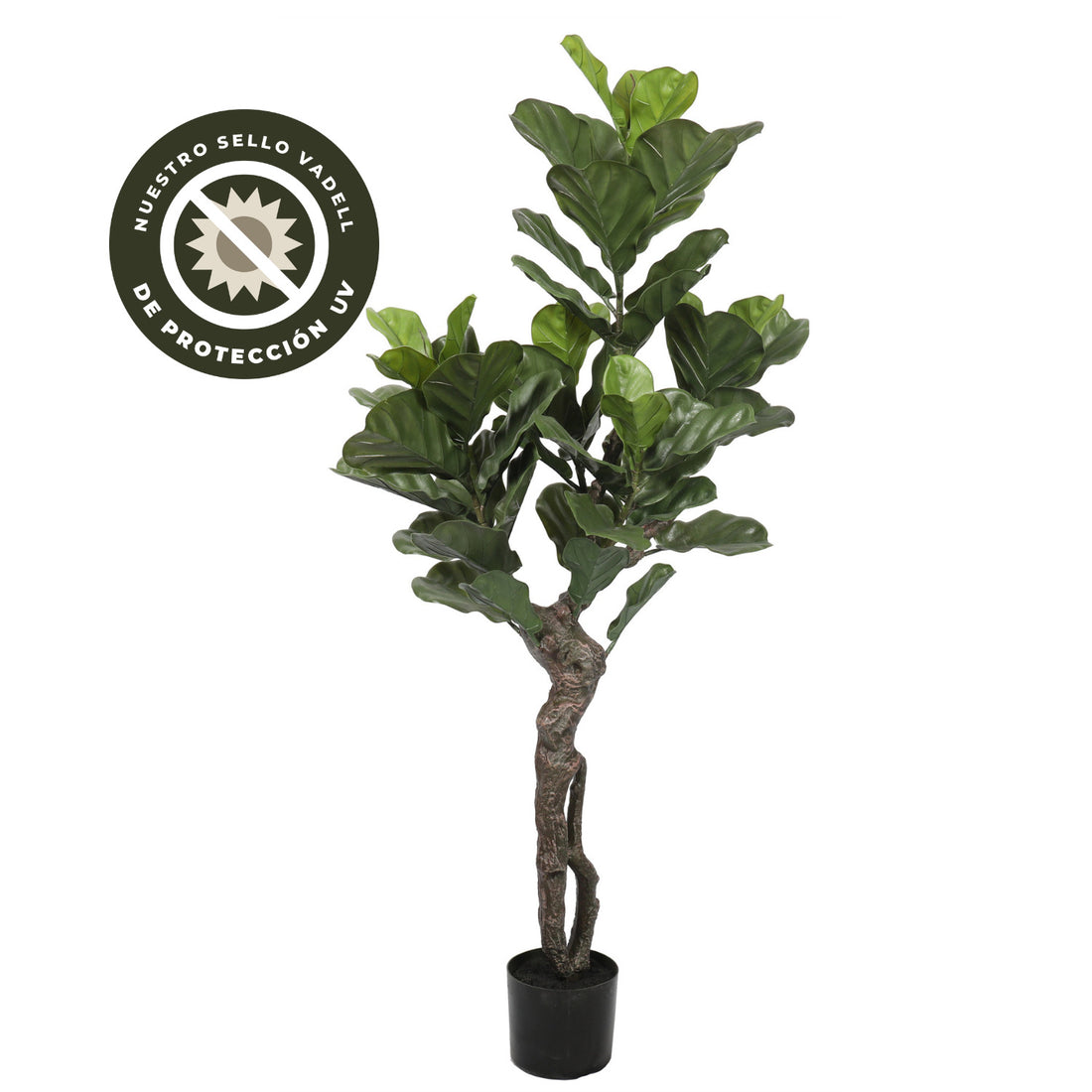 Ficus Lyrata artificial de 150 cm con protección UV