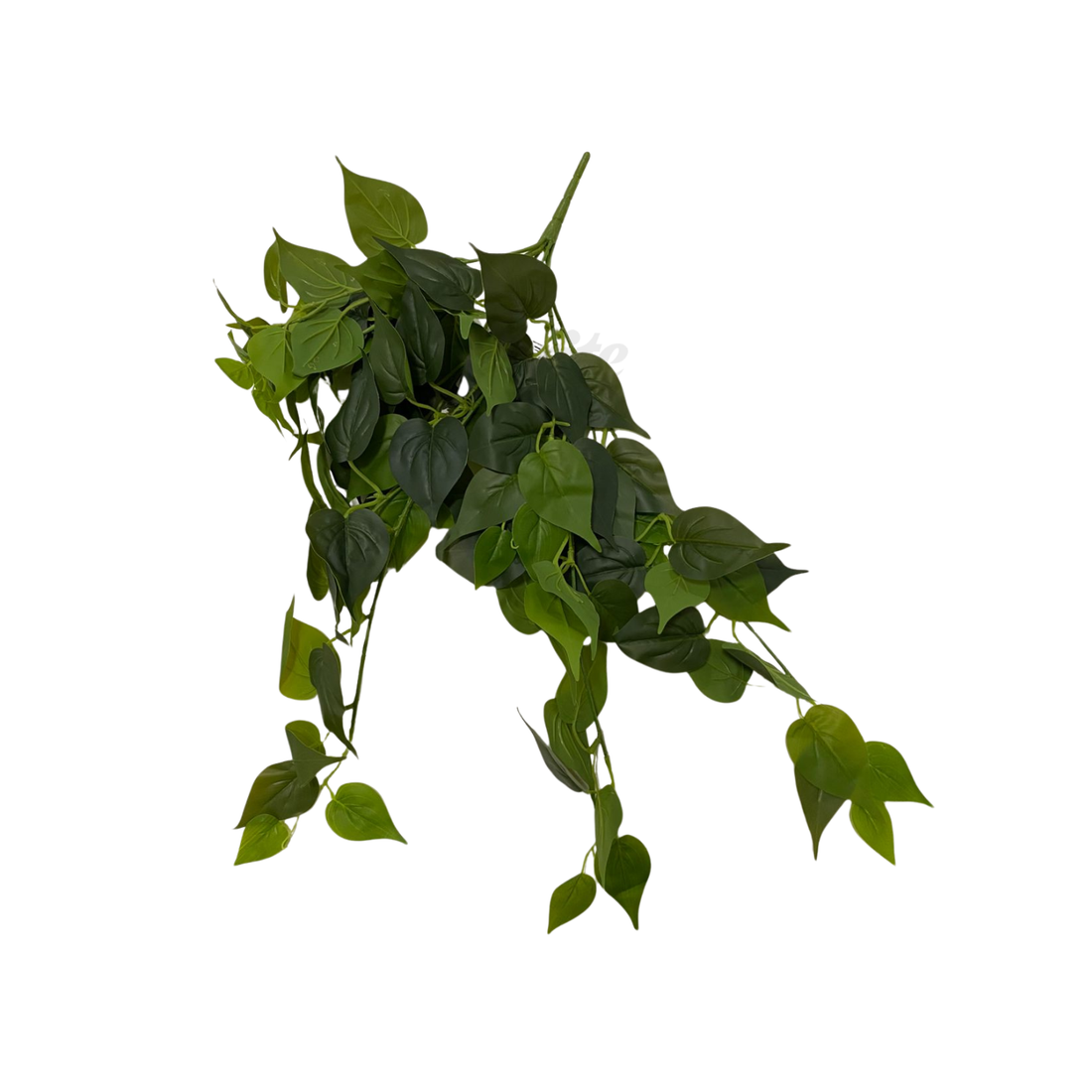 Enredadera colgante corazón 60 cm