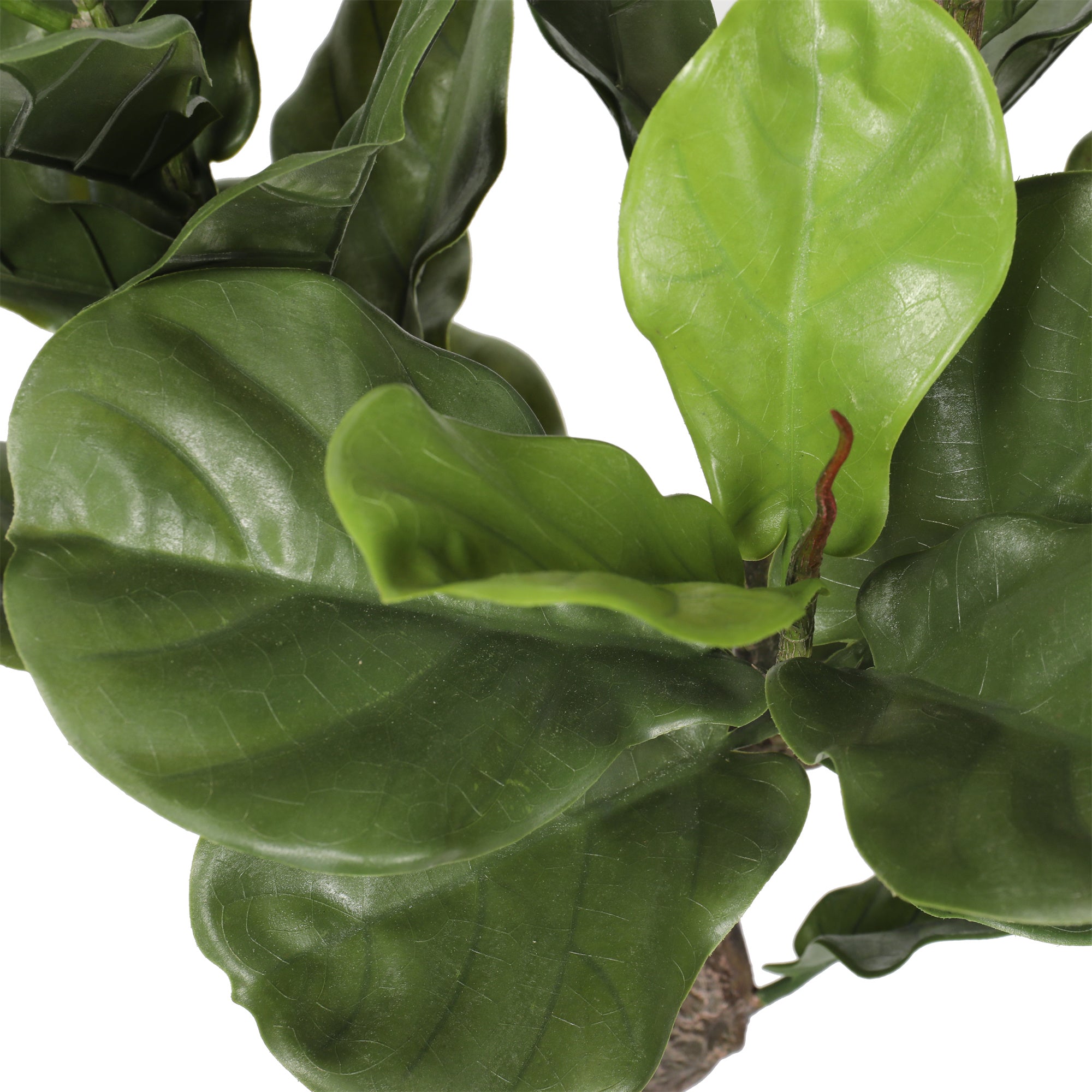 Ficus Lyrata artificial de 150 cm con protección UV