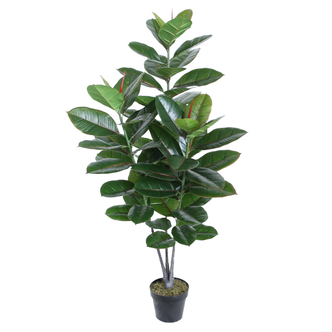 Ficus Elástica / Gomero artificial de 130 cm