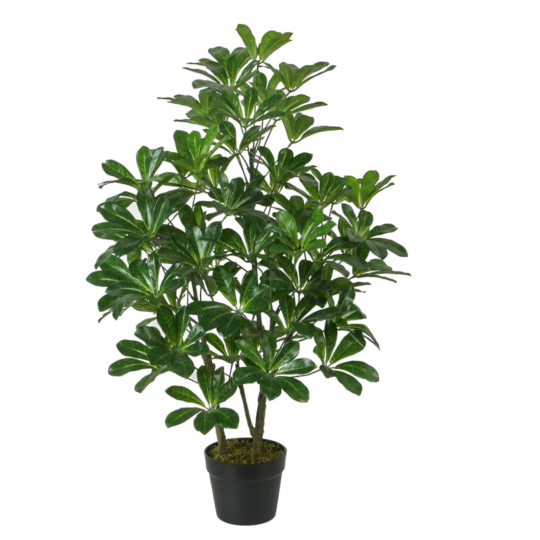 Cheflera artificial hoja verde de 90 cm