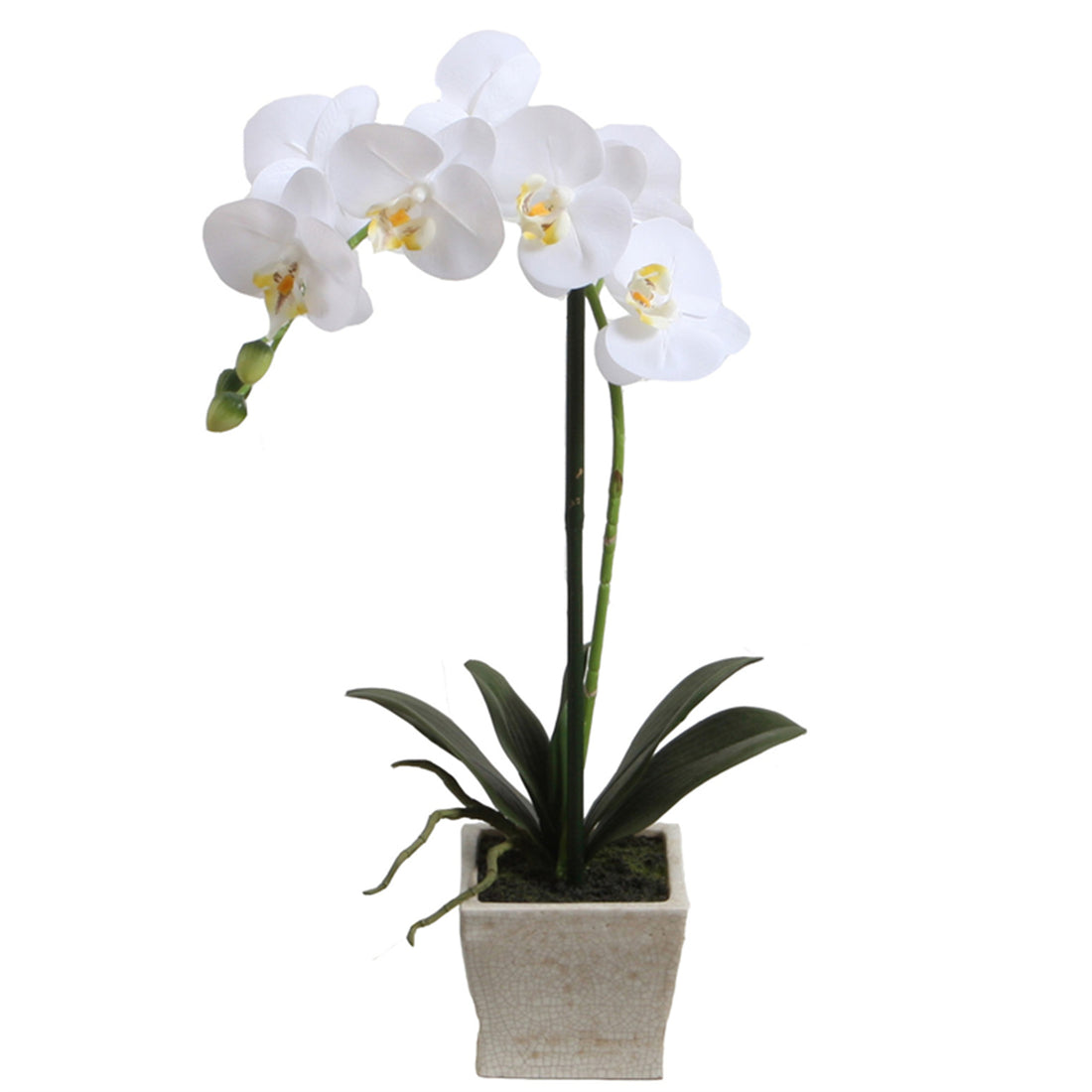 Orquídea blanca artificial de 51 cm en macetero cuadrado