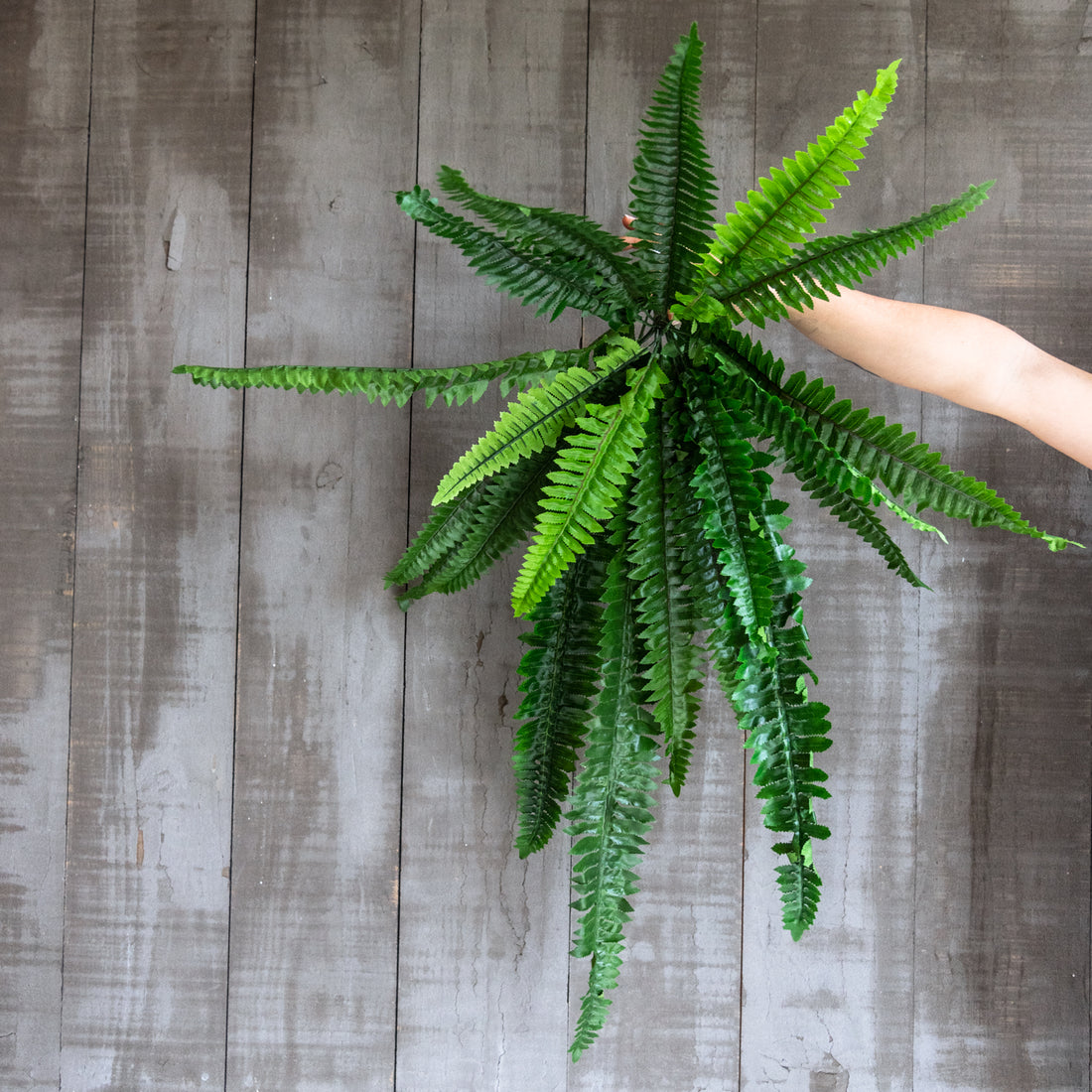 Helecho Boston artificial de 85 cm.