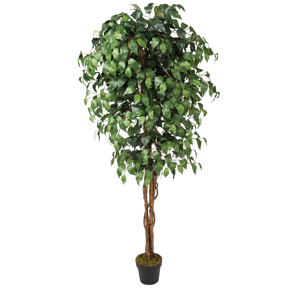 Ficus Benjamina artificial de 180 cm con doble tronco de madera