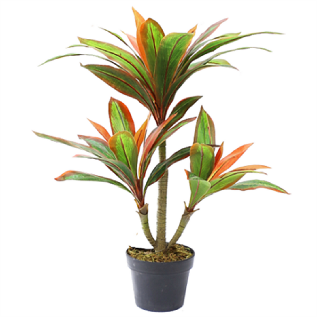 Dracena Artificial hoja multicolor de 75 cm