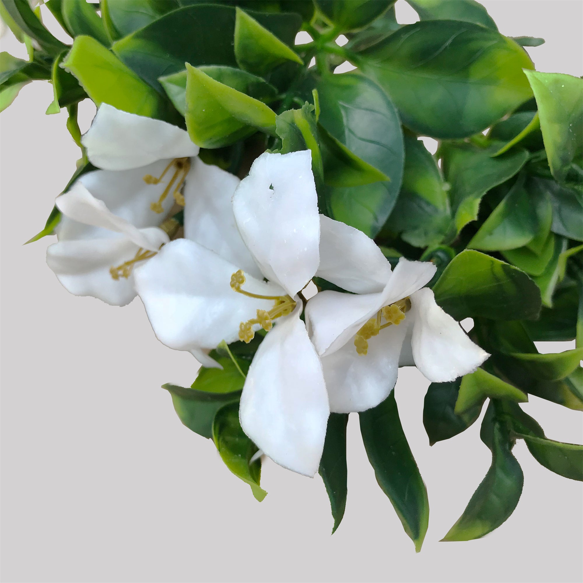 Gardenia blanca, rama decorativa artificial de 30 cm con protección UV