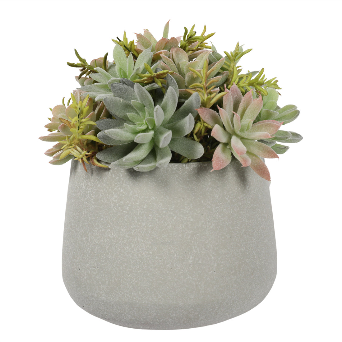 Suculenta Bonsai artificial de 23 cm, con macetero de cemento