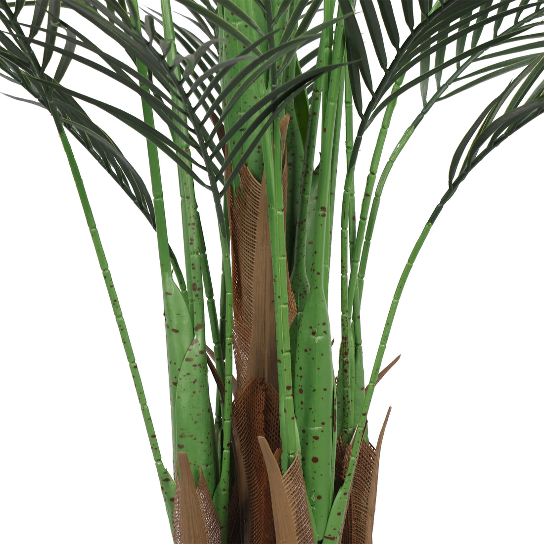 Palmera Areca Premium 180 cm con protección UV