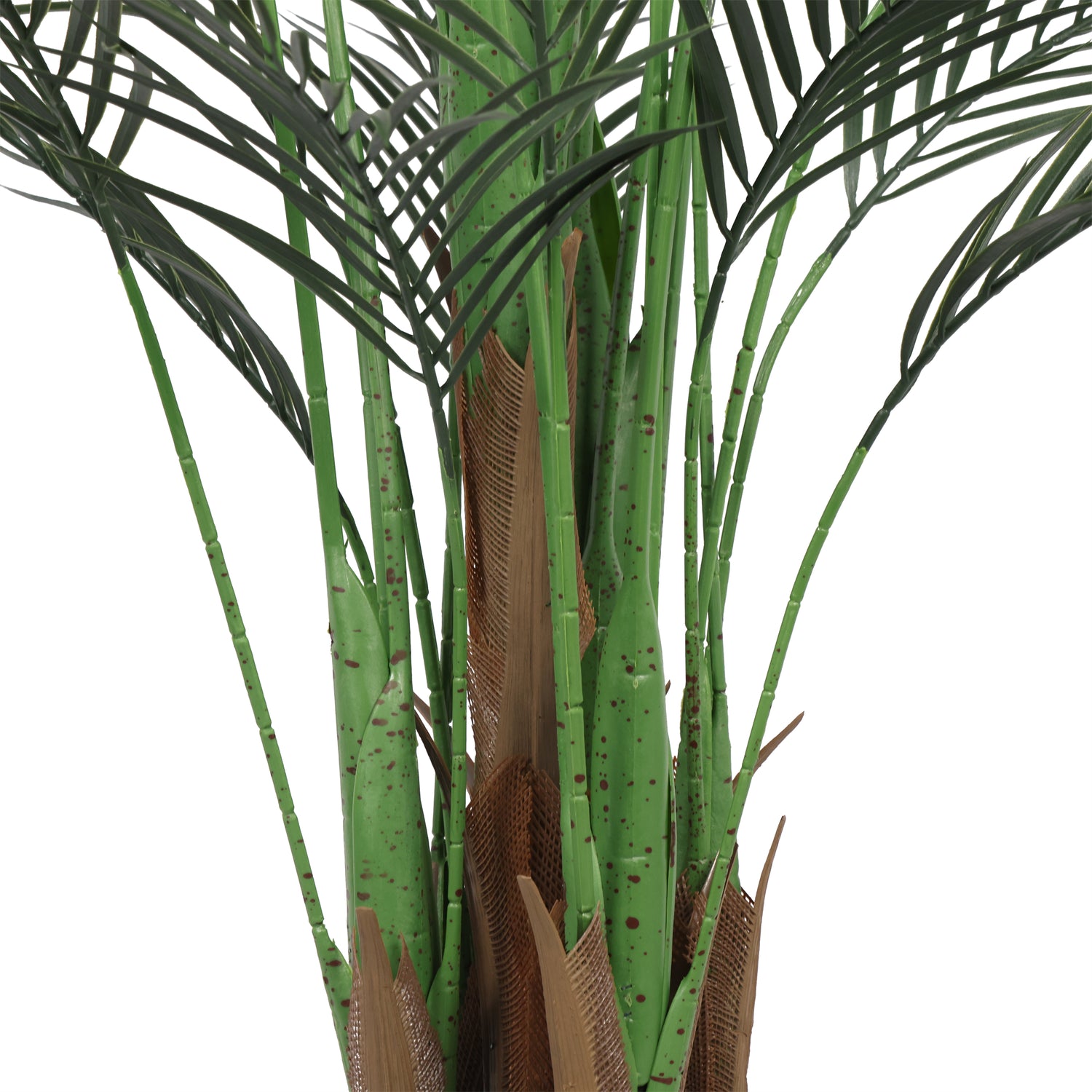 Palmera Areca Premium 180 cm con protección UV