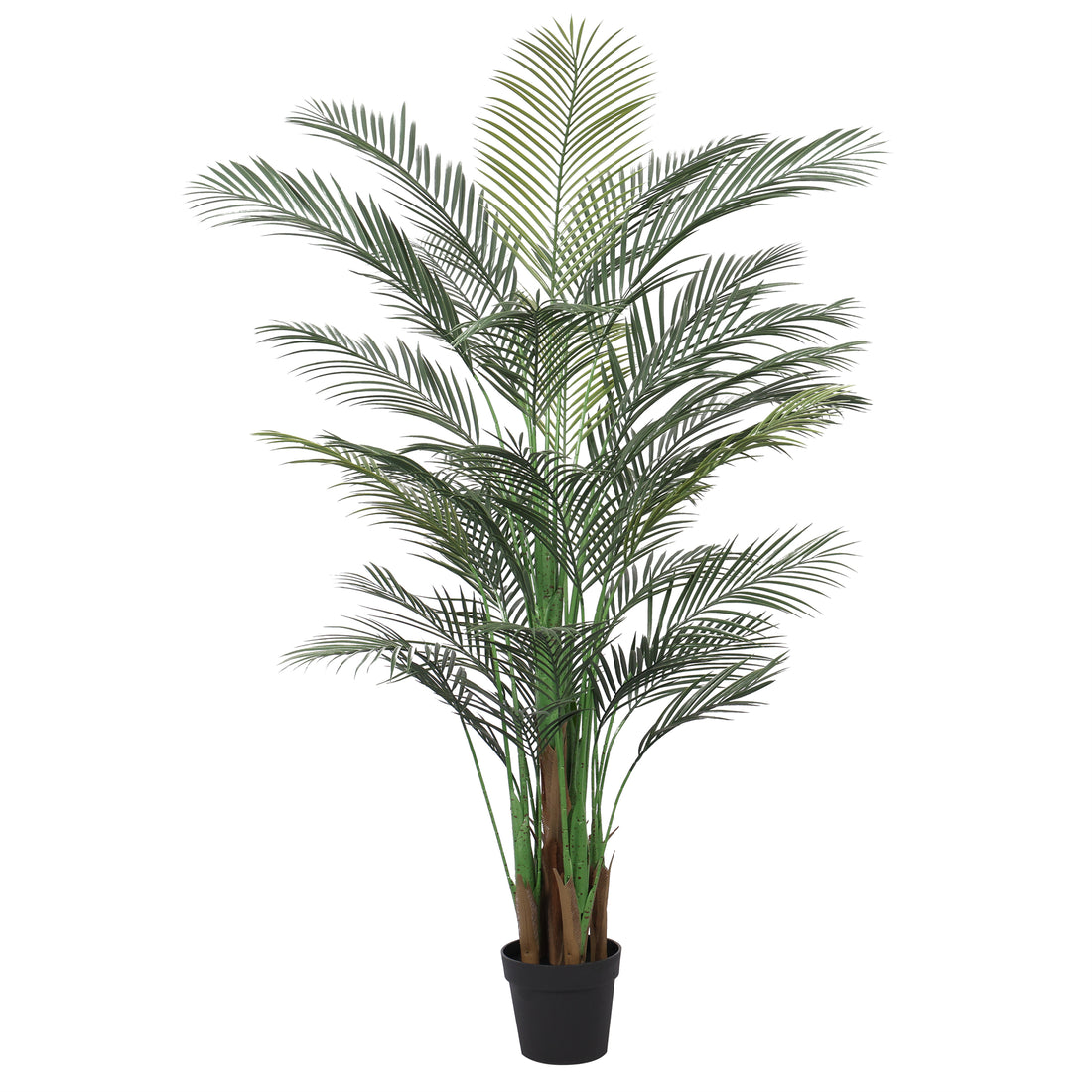 Palmera Areca Premium 180 cm con protección UV