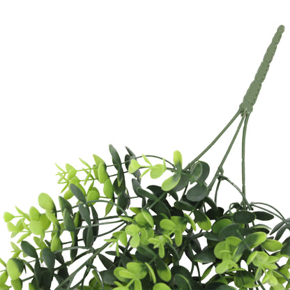 Enredadera colgante planta del dinero 66 cm con protección UV