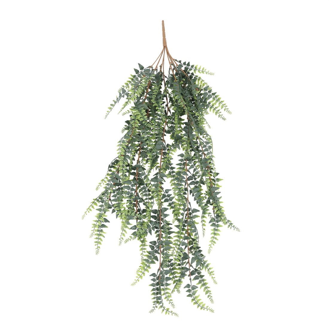 Enredadera colgante helecho Boston 90 cm con protección UV