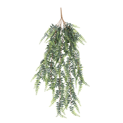 Enredadera colgante helecho Boston 90 cm con protección UV