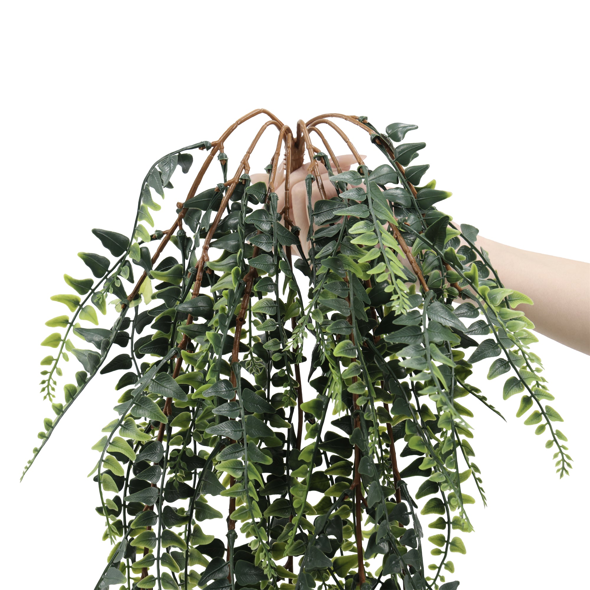 Enredadera colgante helecho Boston 90 cm con protección UV